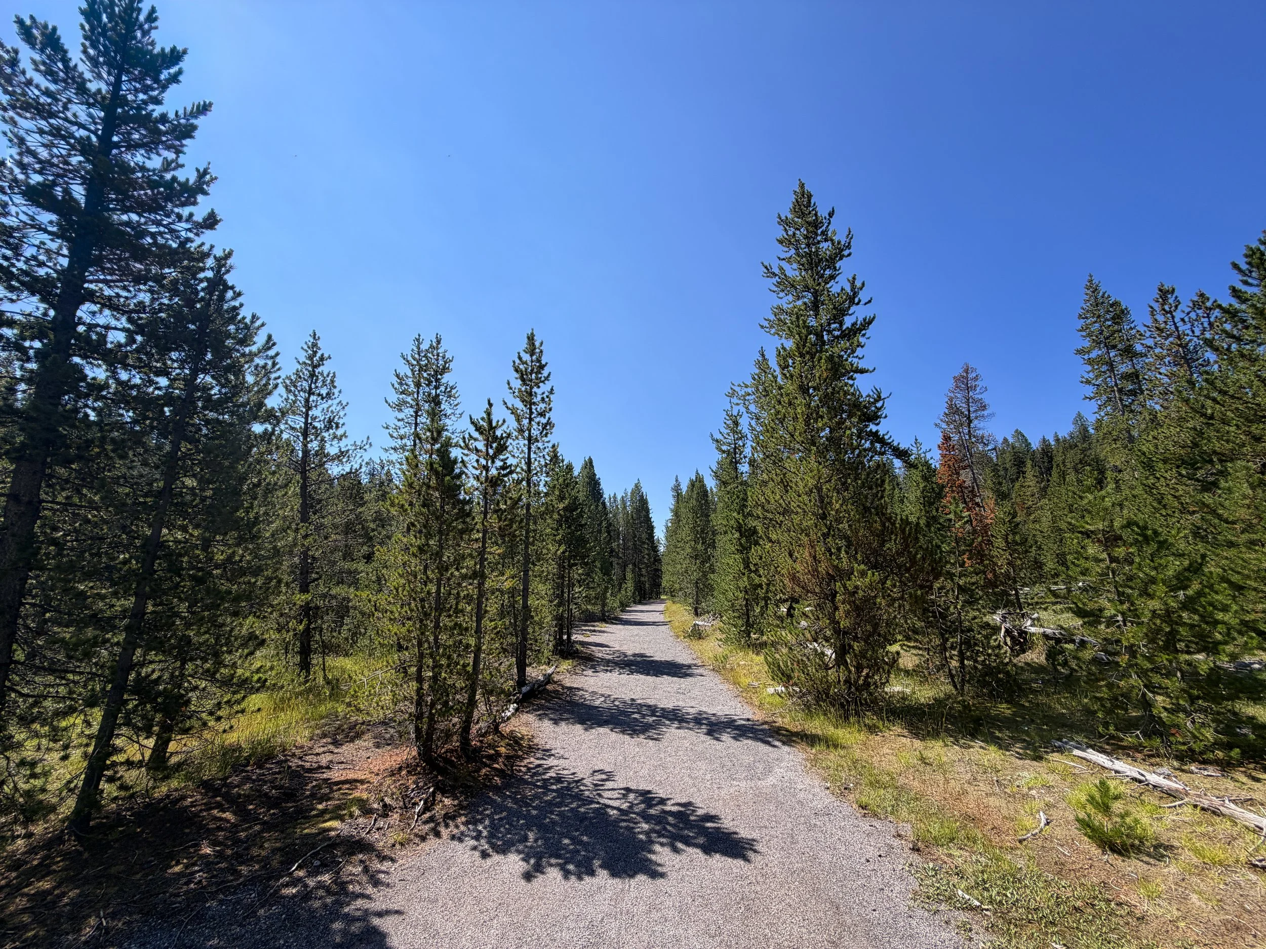 Lone Star Geyser Hike Yellowstone National Park Wyoming