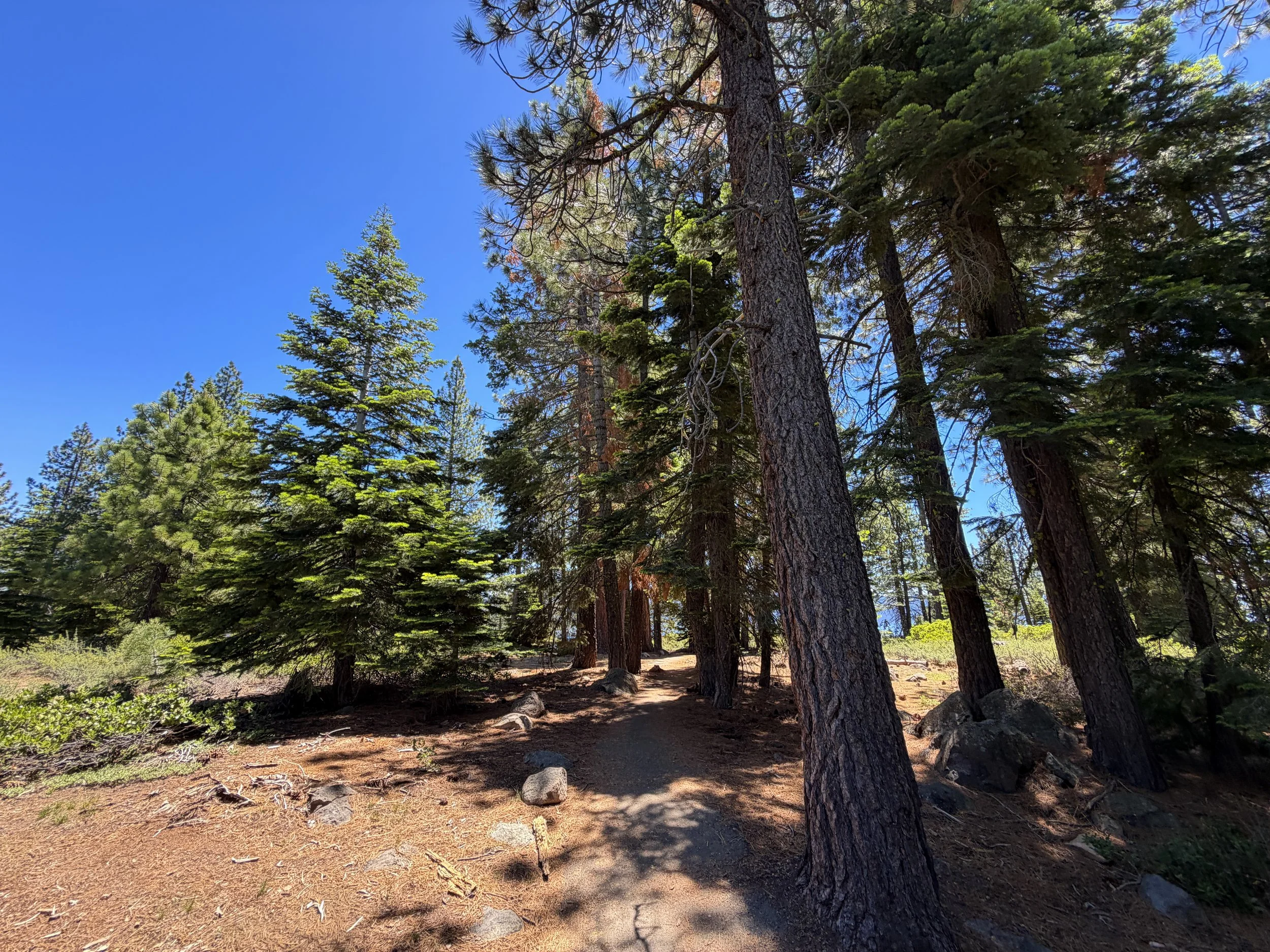 State Line Fire Lookout Trail Lake Tahoe California