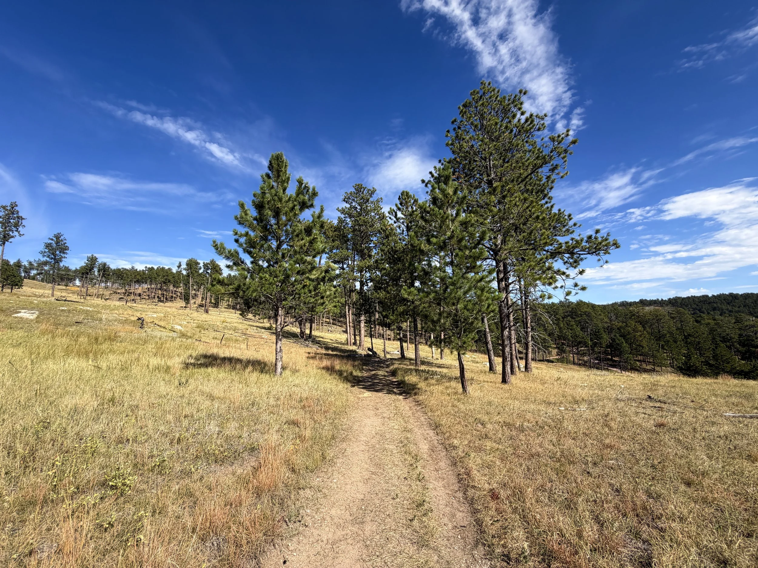 Canyons Trail Jewel Cave National Monument Black Hills South Dakota