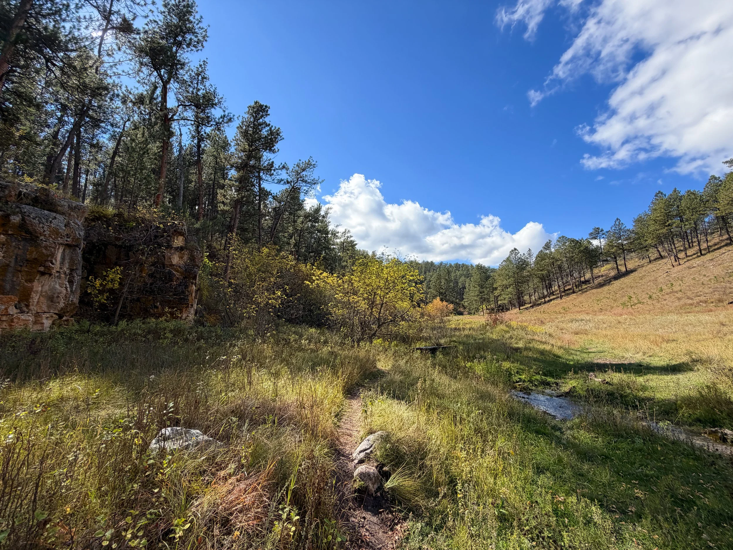 Lookout Point Loop Trail Wind Cave National Park South Dakota