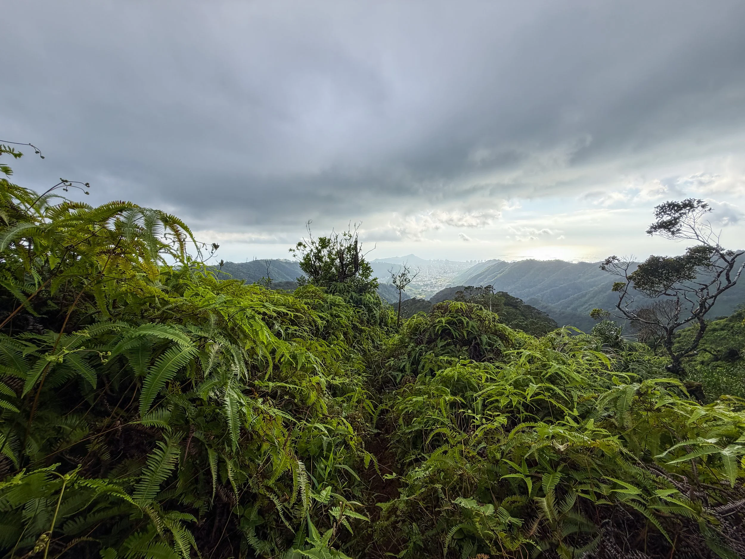 Kaau Crater Trail Oahu Hawaii