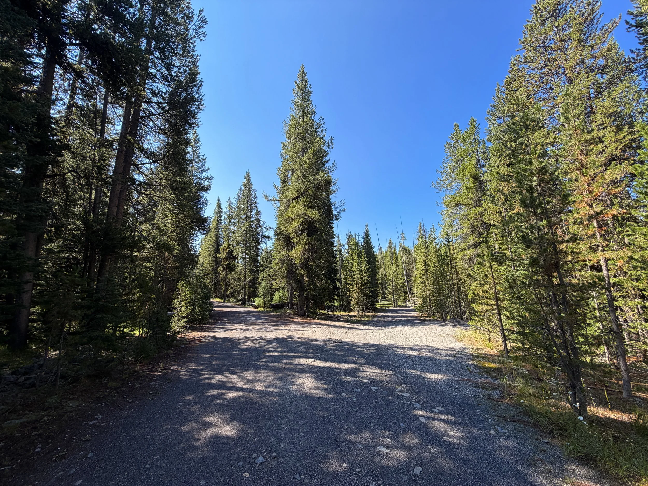 Lone Star Geyser Trail Yellowstone National Park Wyoming