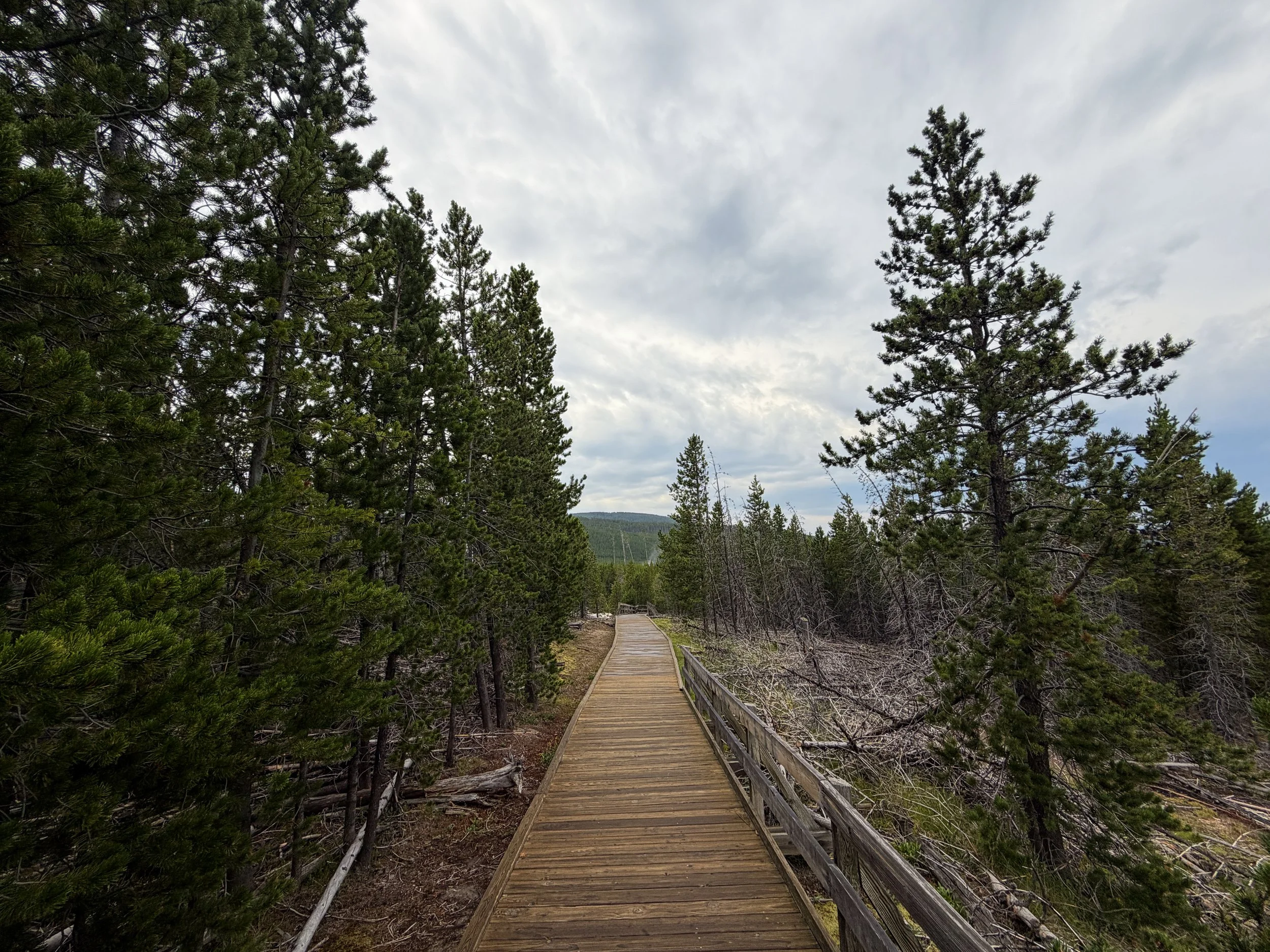 Norris Geyser Basin Trail Yellowstone National Park Wyoming