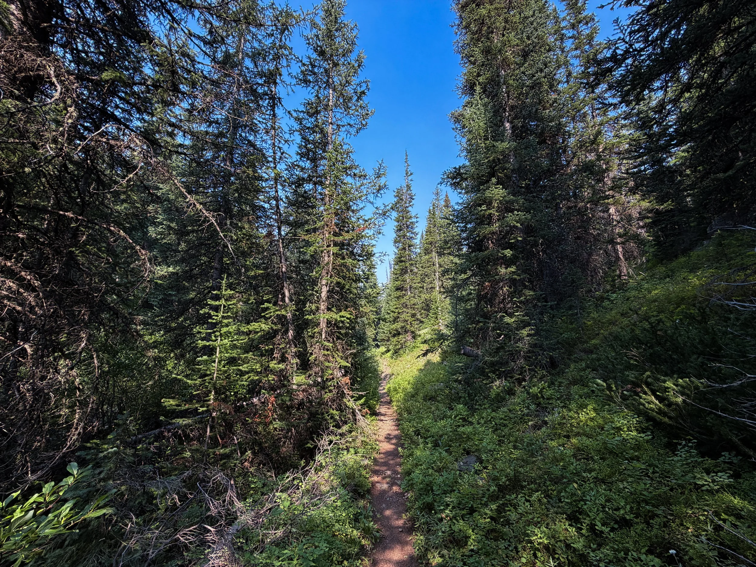 East Rosebud Trail The Beaten Path Beartooth Mountains Montana