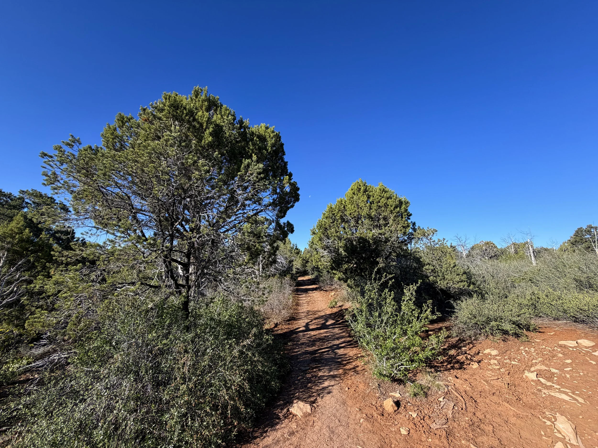 Observation Point Trail via East Mesa Trailhead Zion National Park Utah