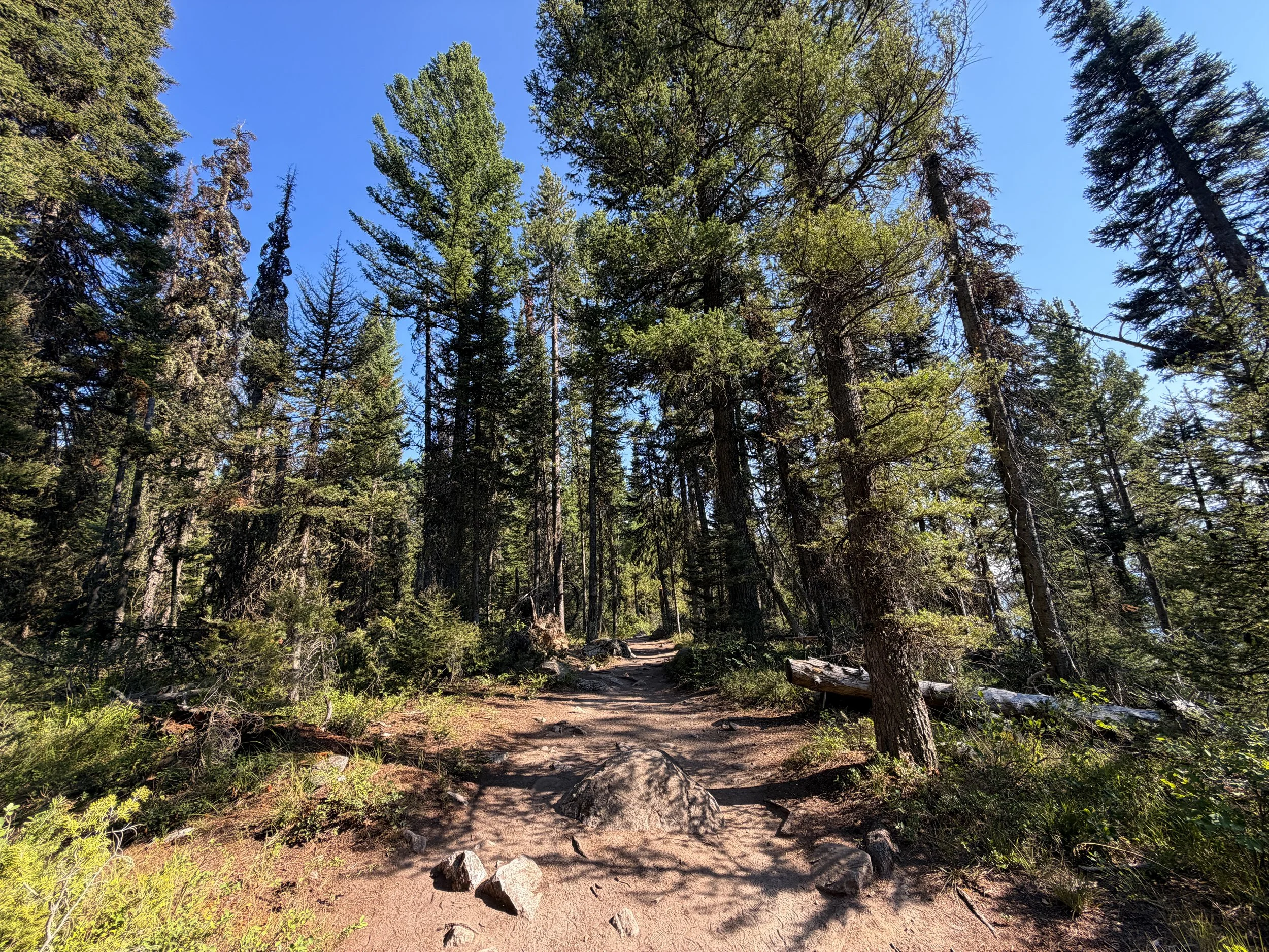 Jenny Lake Loop Trail Grand Teton National Park Wyoming