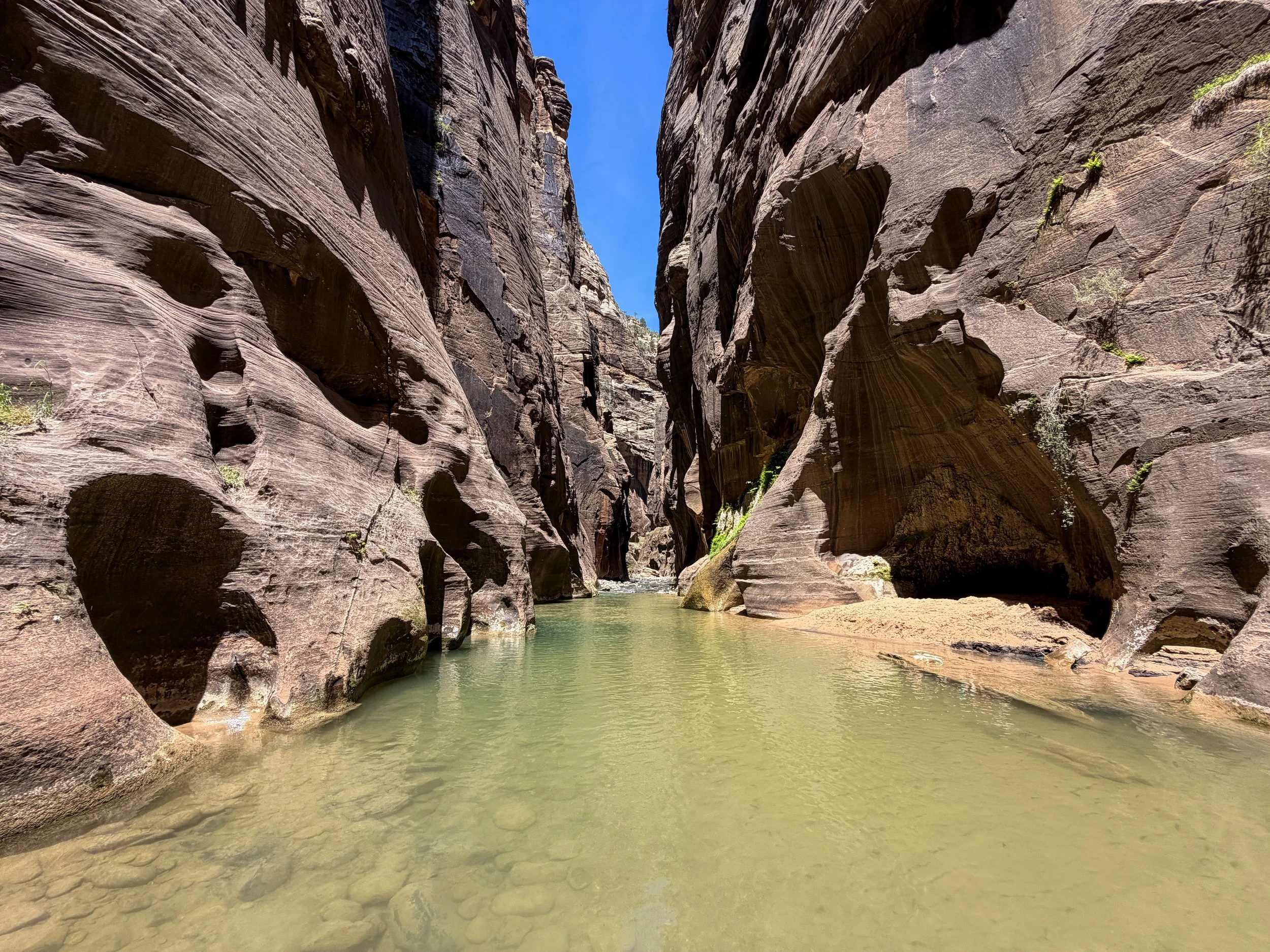 Wall Street Narrows Hike Zion National Park Utah