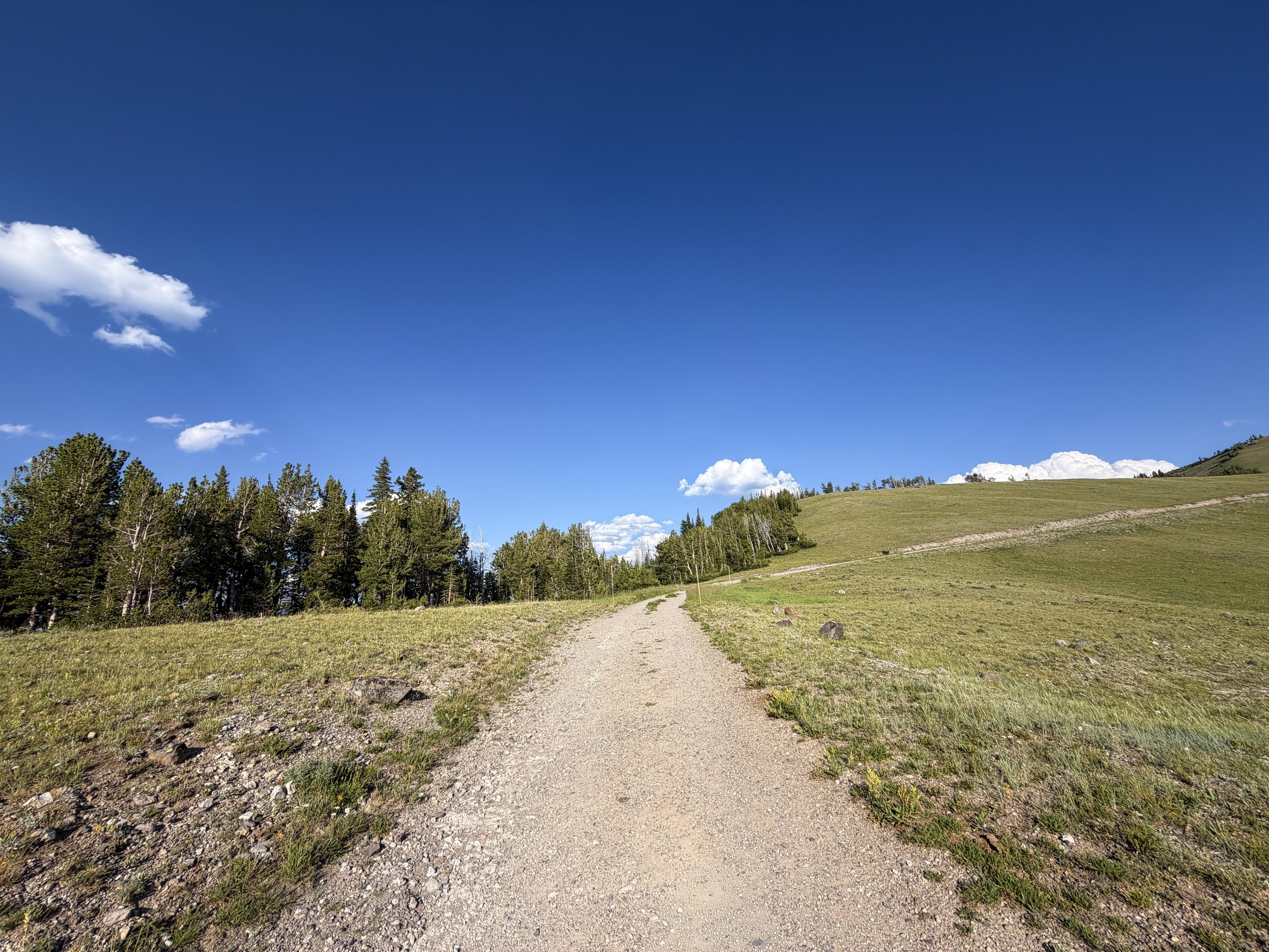 Mount Washburn Trail via Chittenden Road Yellowstone National Park Wyoming