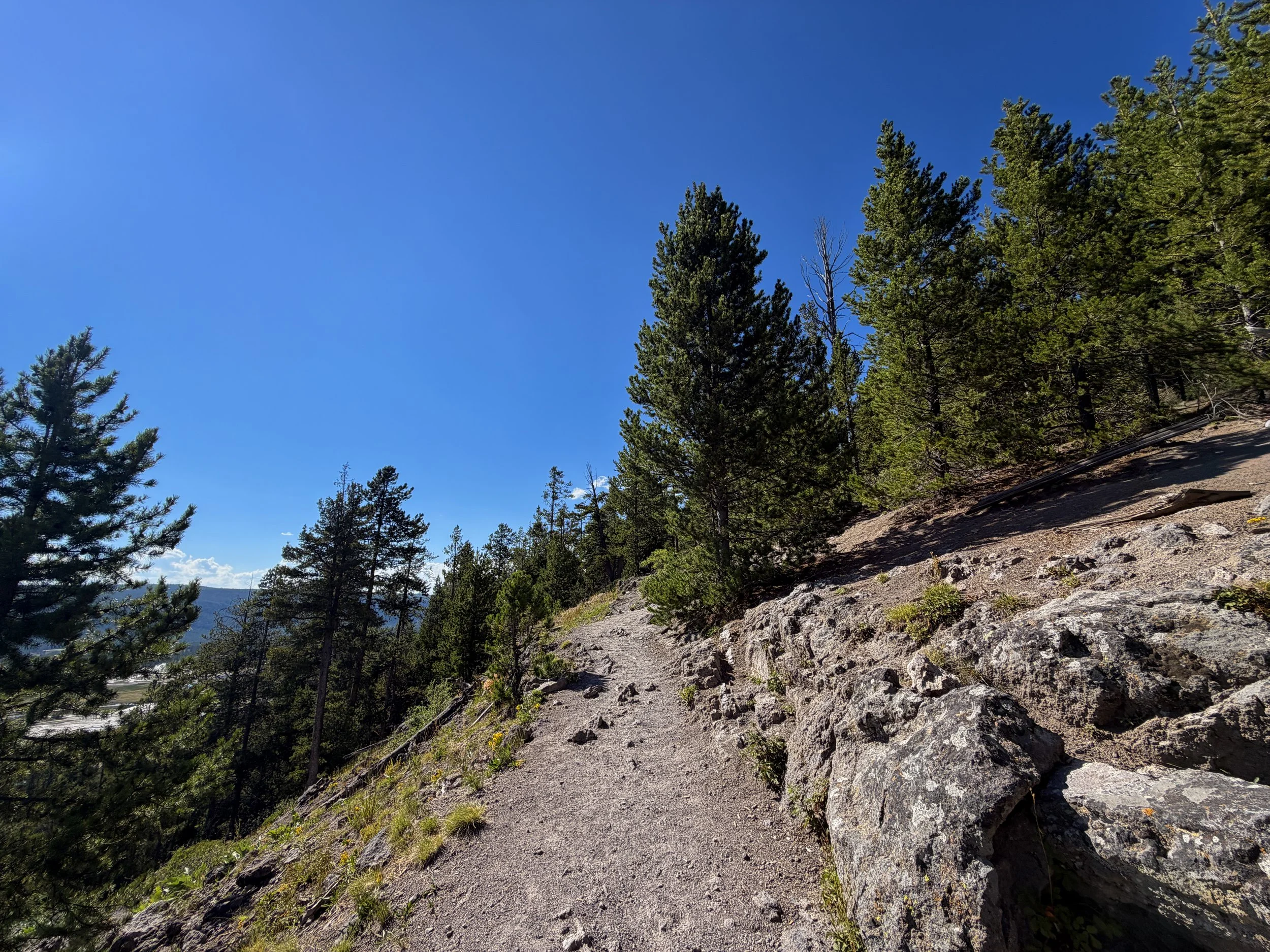 Observation Point Loop Trail Yellowstone National Park Wyoming