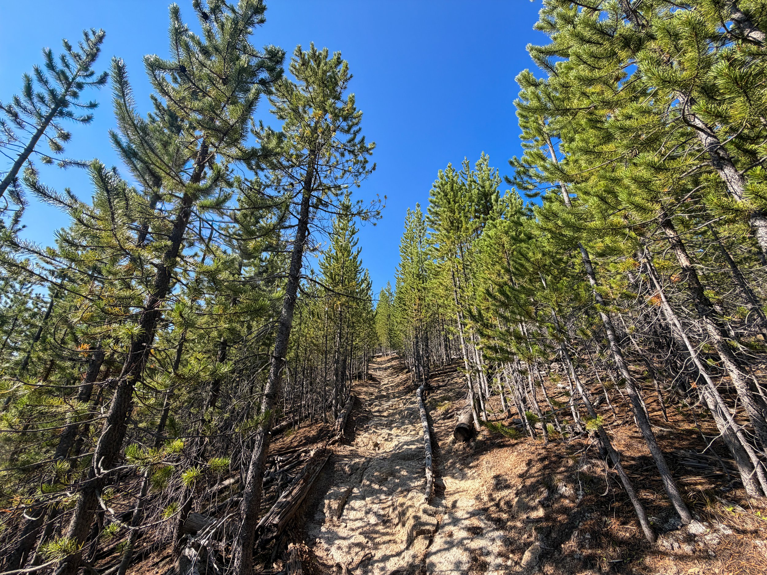 Monument Geyser Basin Trail Yellowstone National Park Wyoming