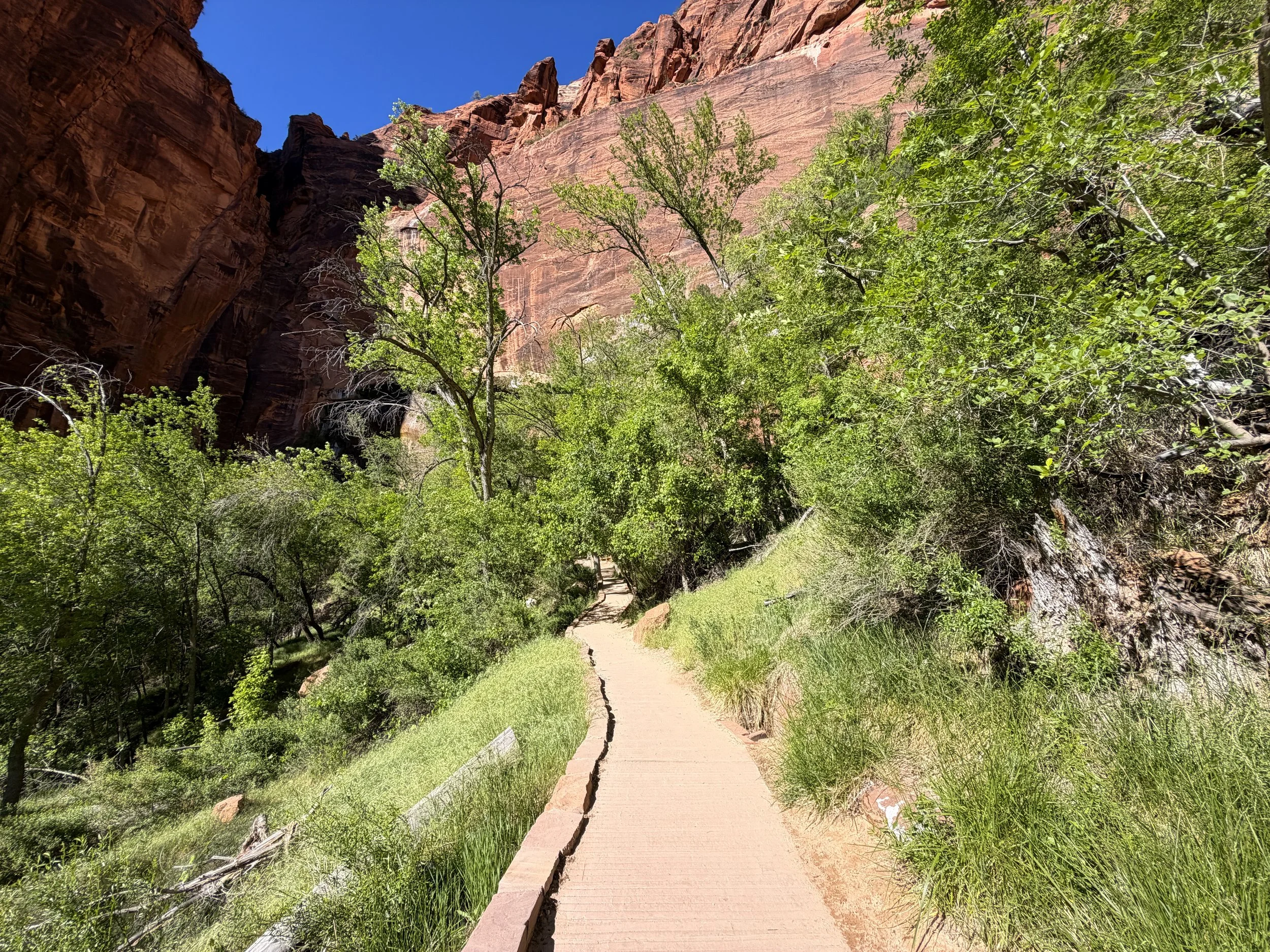 Weeping Rock Trail Zion National Park Utah