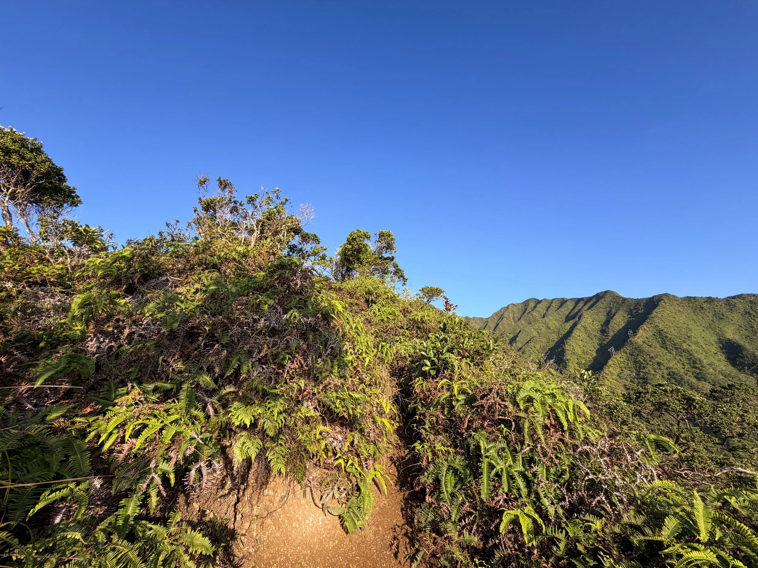 Moanalua Middle Ridge Hike Oahu Hawaii