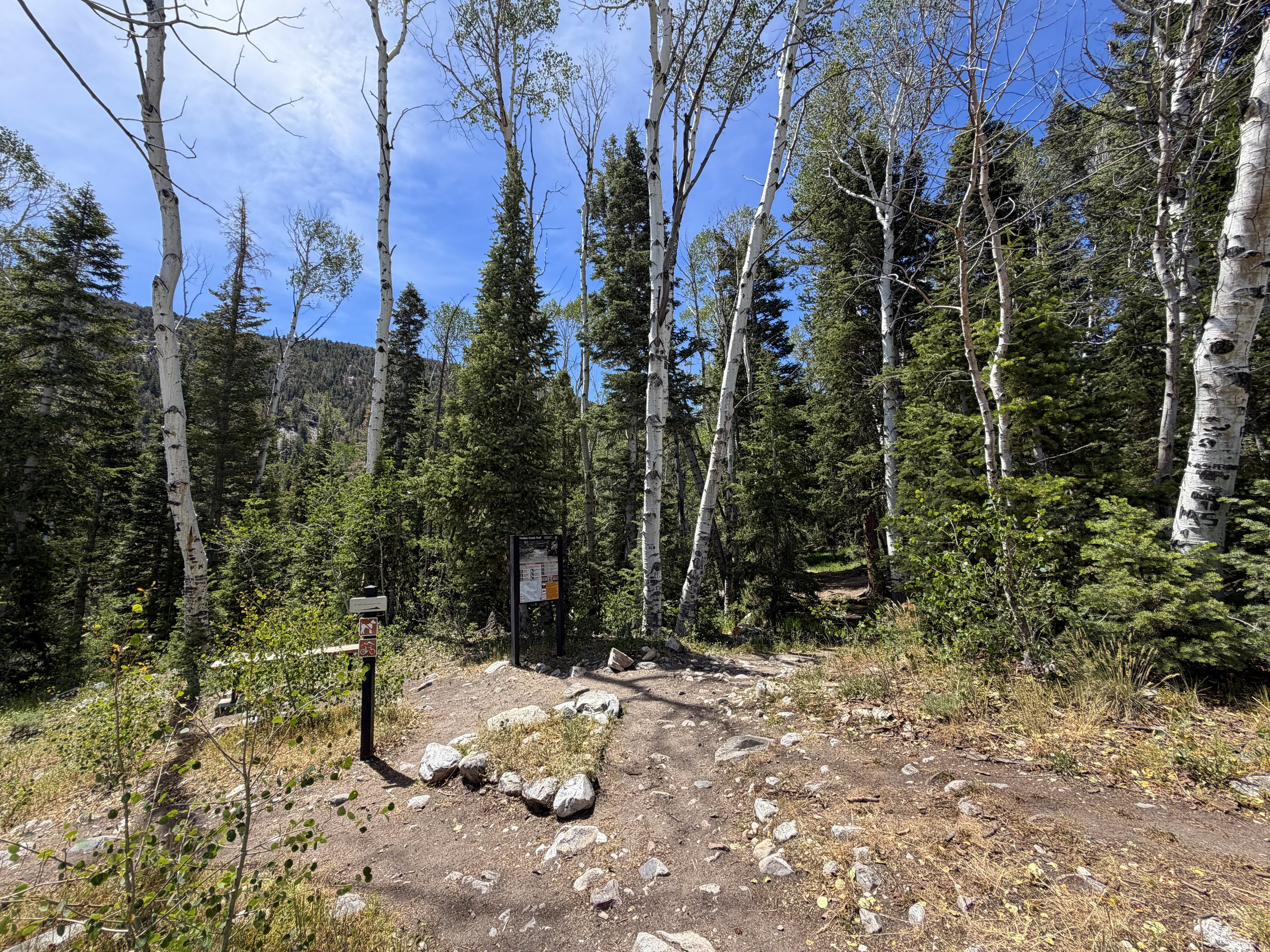 Timber Creek Loop Trailhead Great Basin National Park Nevada
