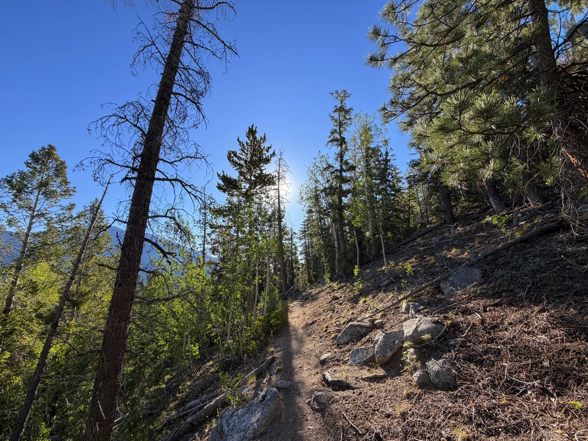 Snake Divide Trail Great Basin National Park Nevada