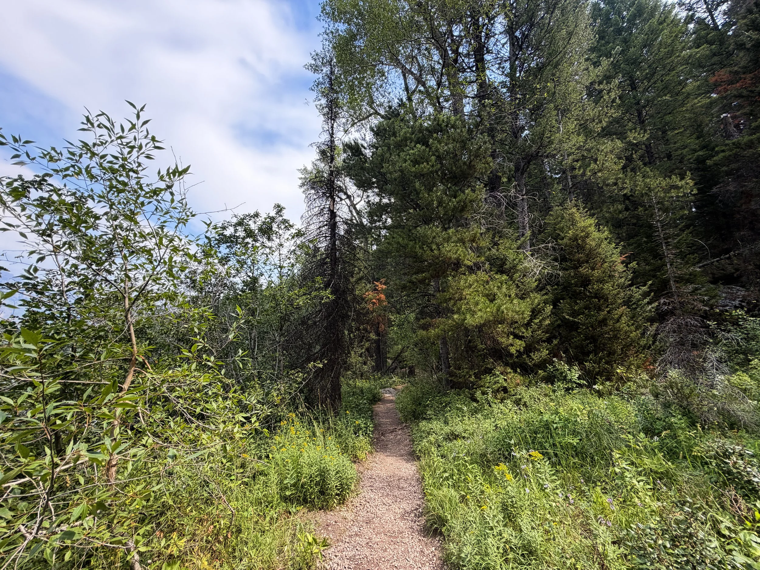 Boulder Ridge Loop Trail Grand Teton National Park Wyoming
