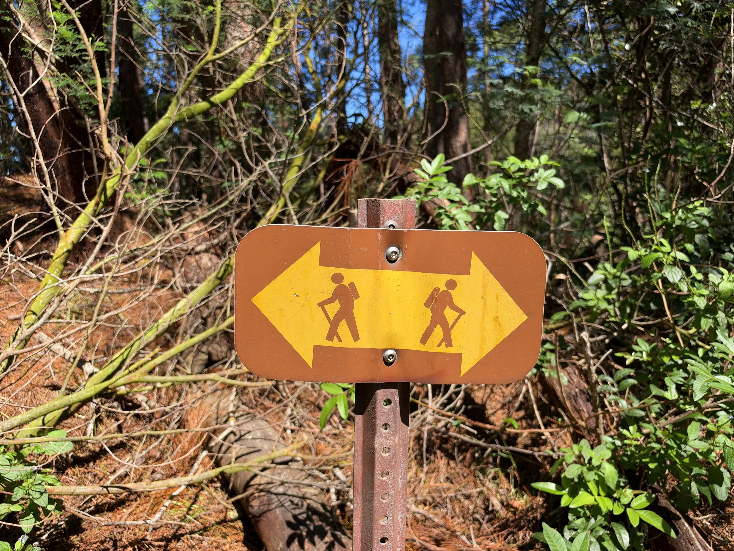 Kuaokala Trail Oahu Hawaii