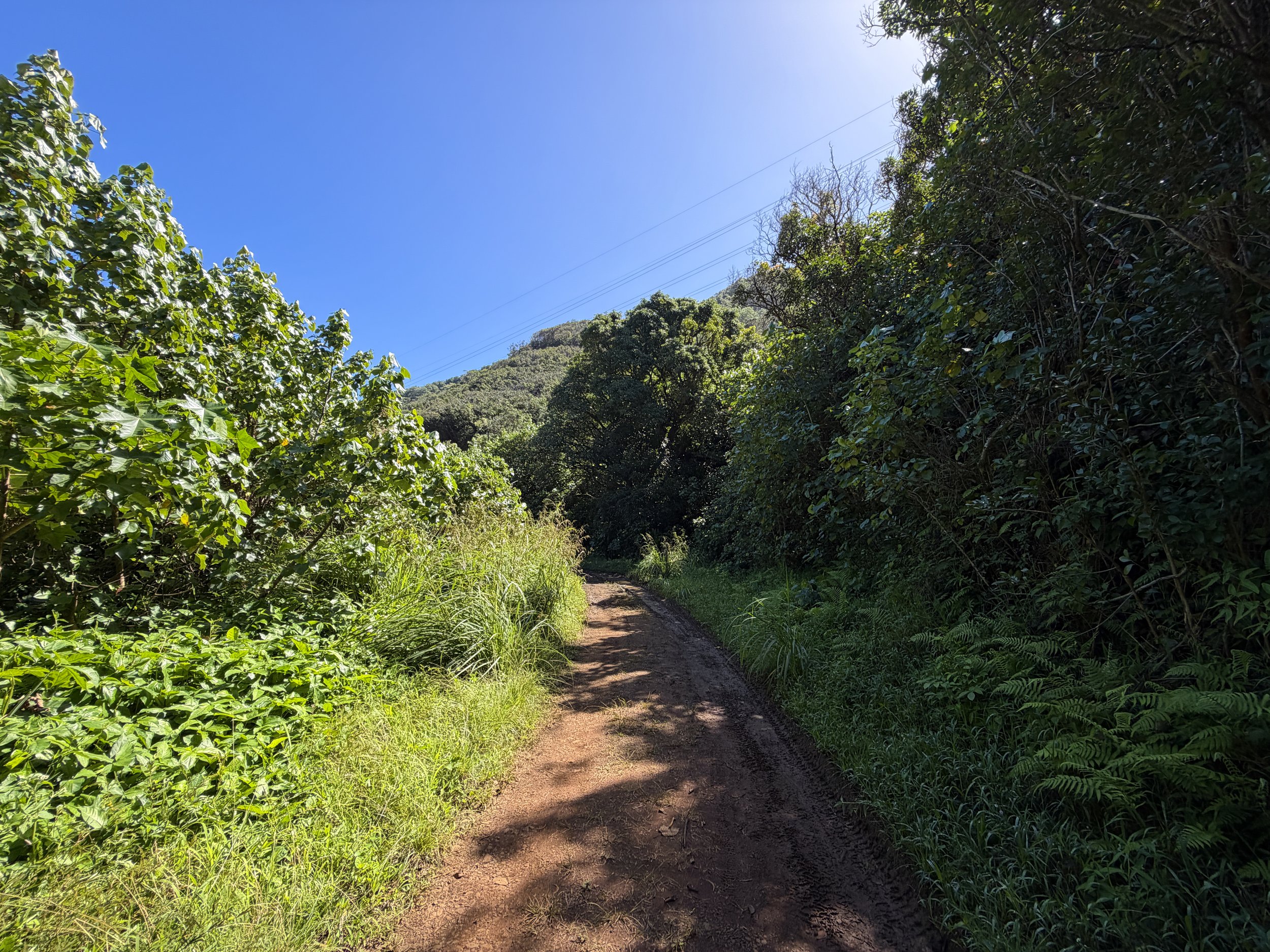 Kulanaahane Trail Oahu Hawaii