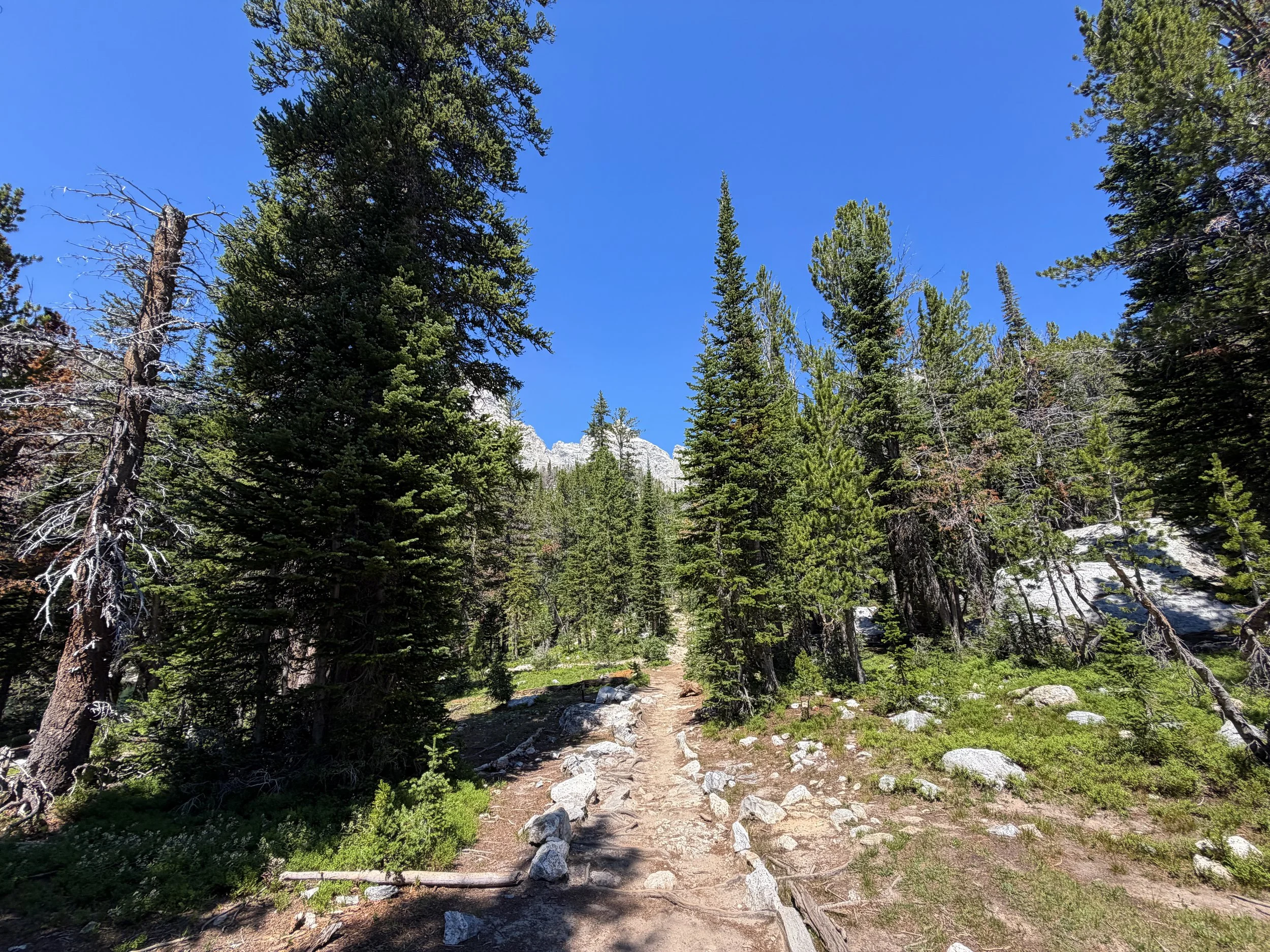 Surprise and Amphitheater Lakes Hike Grand Teton National Park Wyoming