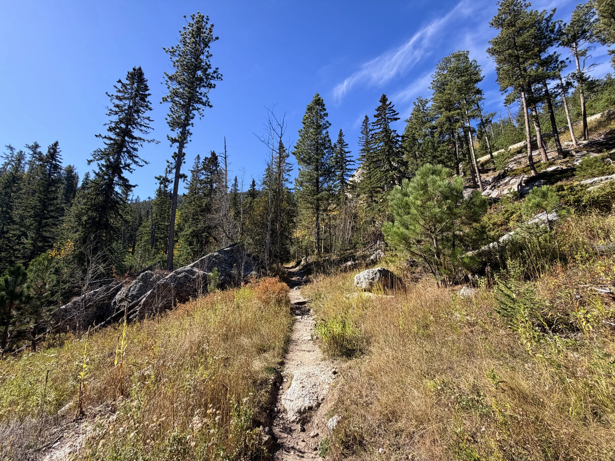 Sunday Gulch Trail Custer State Park Black Hills South Dakota