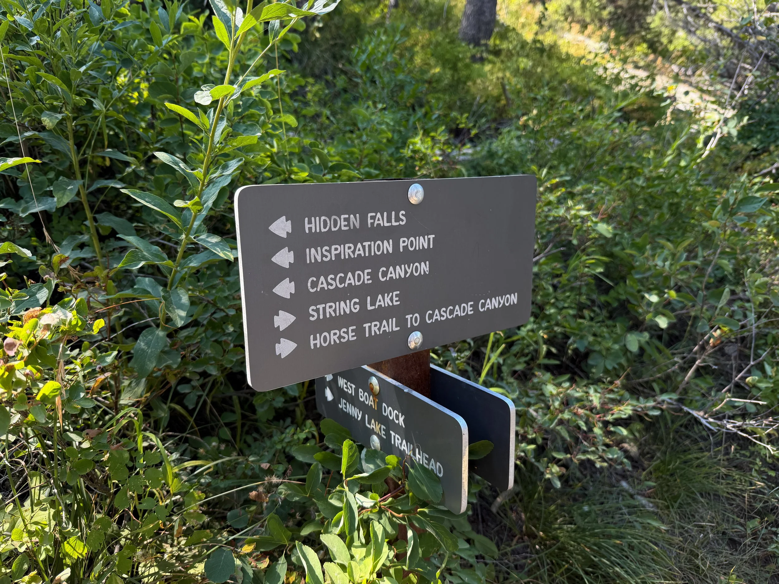 Jenny Lake Loop Trail Grand Teton National Park Wyoming