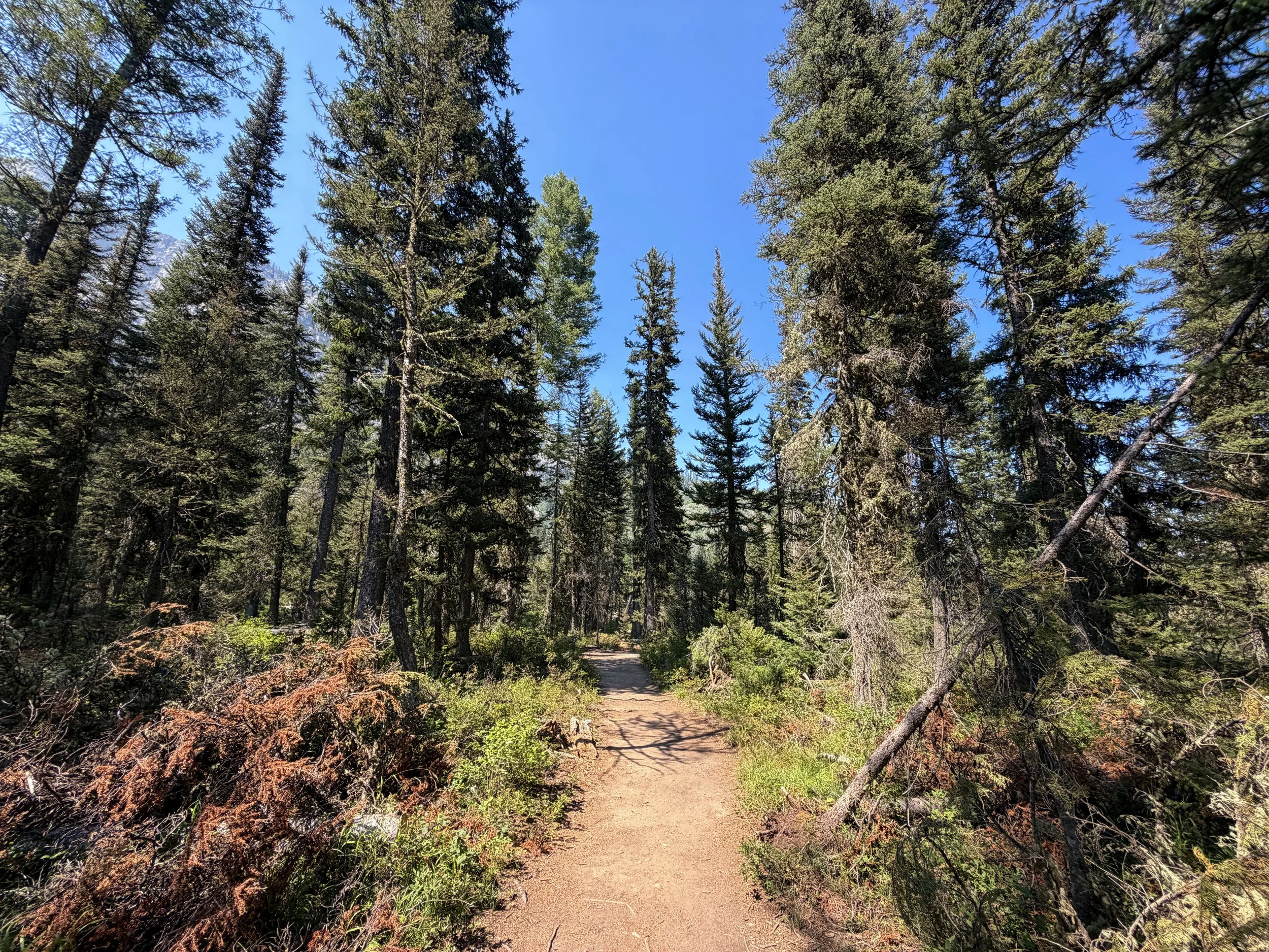 Jenny Lake Loop Trail Grand Teton National Park Wyoming