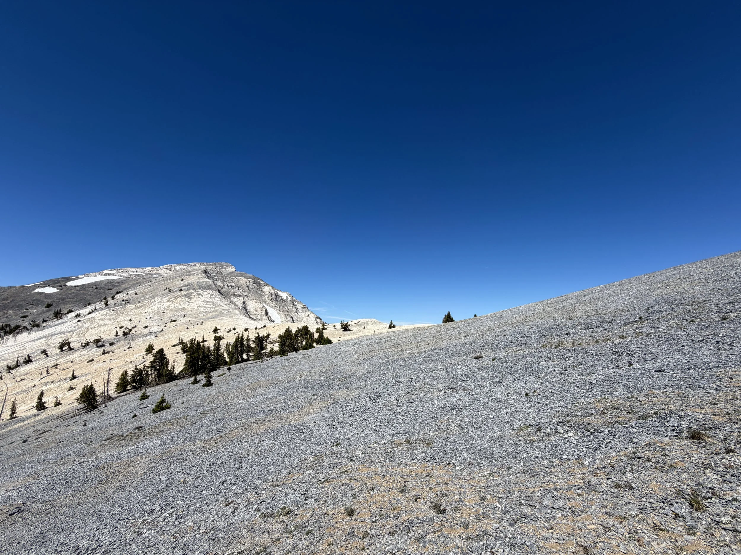 Snake Divide Trail to Mount Washington Great Basin National Park Nevada