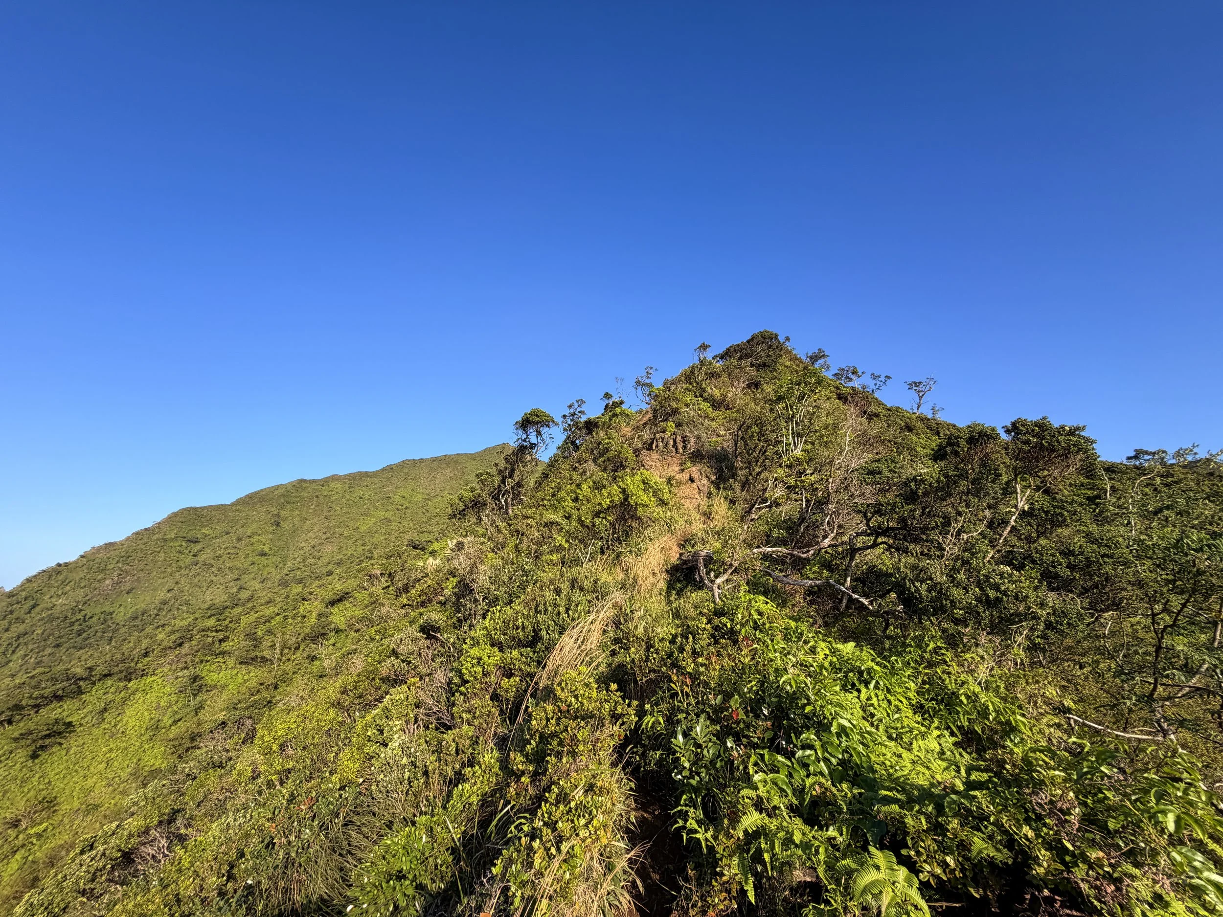 Moanalua Middle Ridge Trail to Haiku Stairs Oahu Hawaii