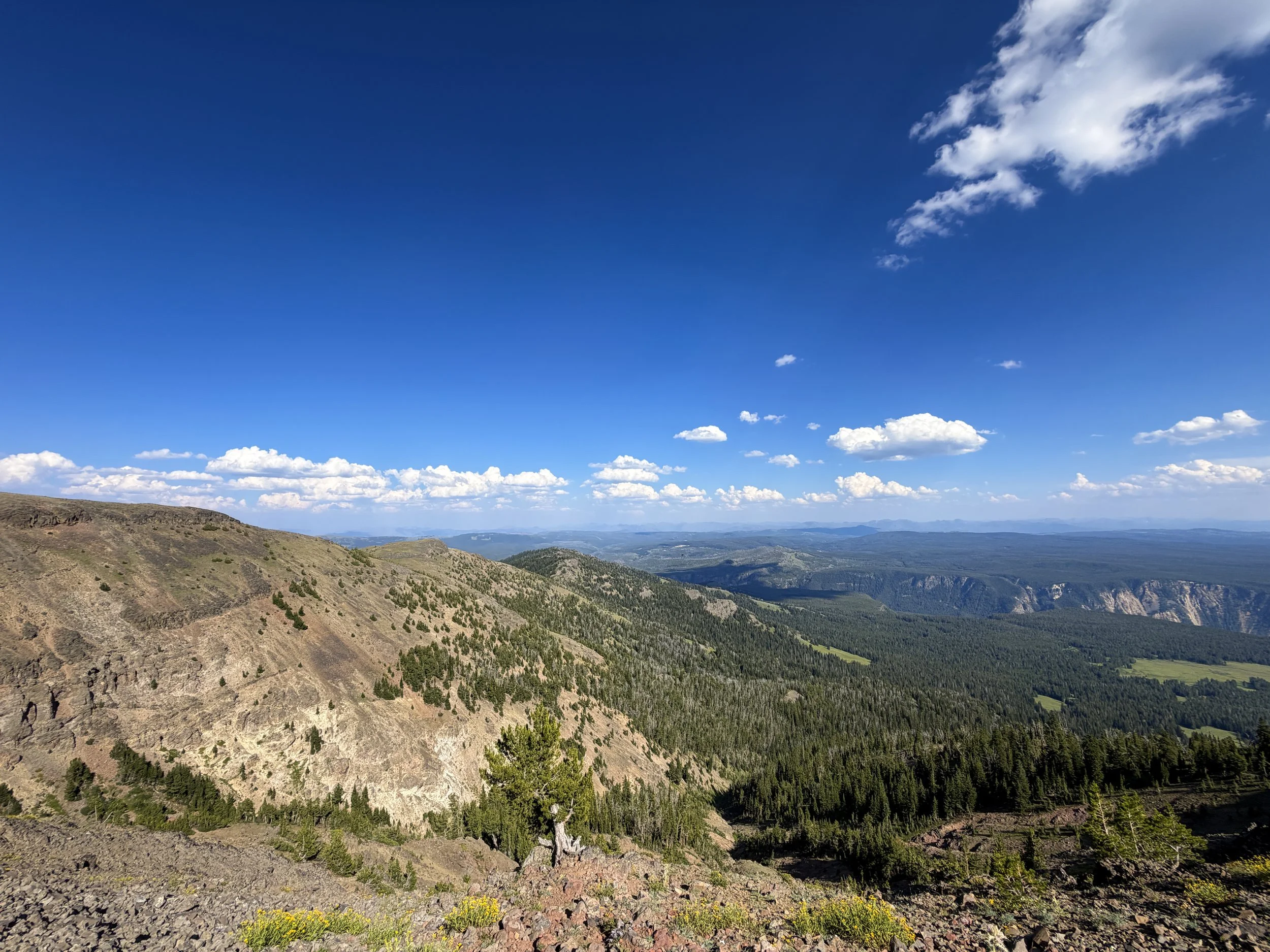 South Mount Washburn Trail via Dunraven Pass Yellowstone National Park Wyoming