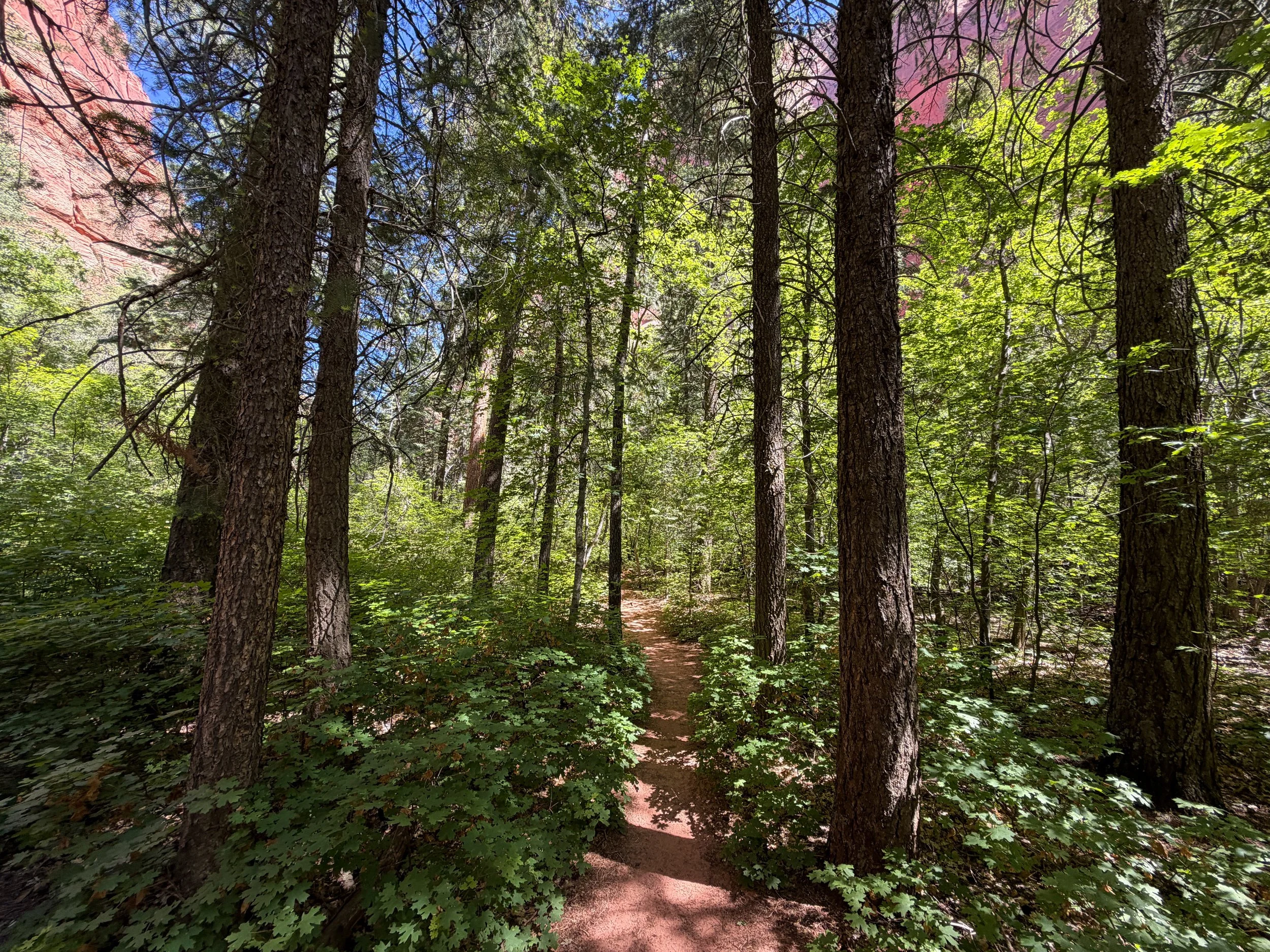 Middle Taylor Creek Trail Zion National Park Utah