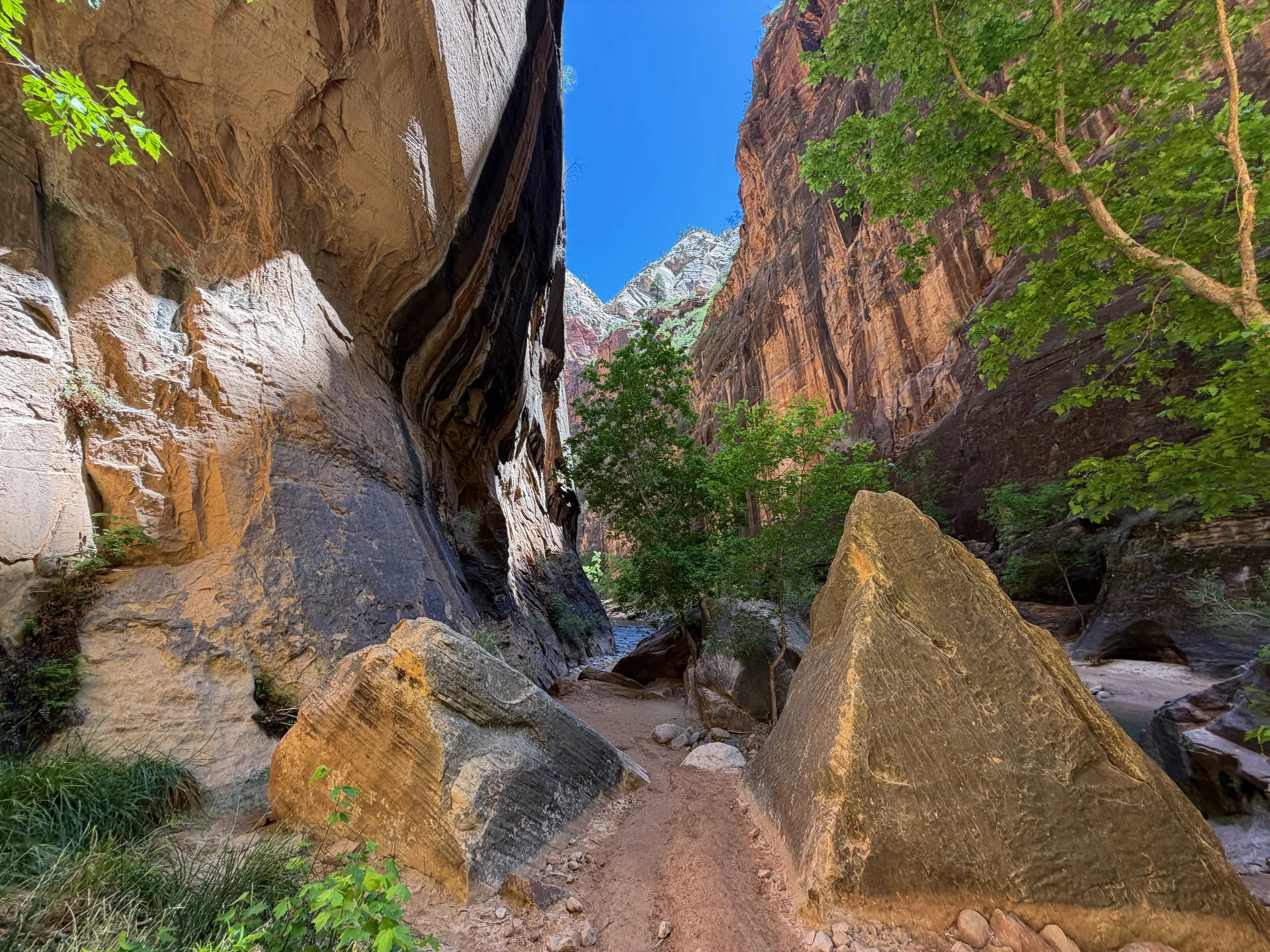 Narrows Trail Zion National Park Utah