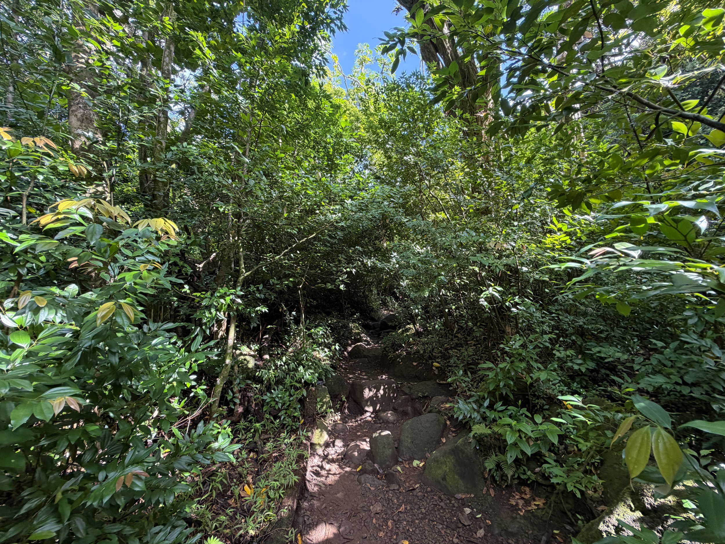 Lulumahu Falls Trail Oahu Hawaii