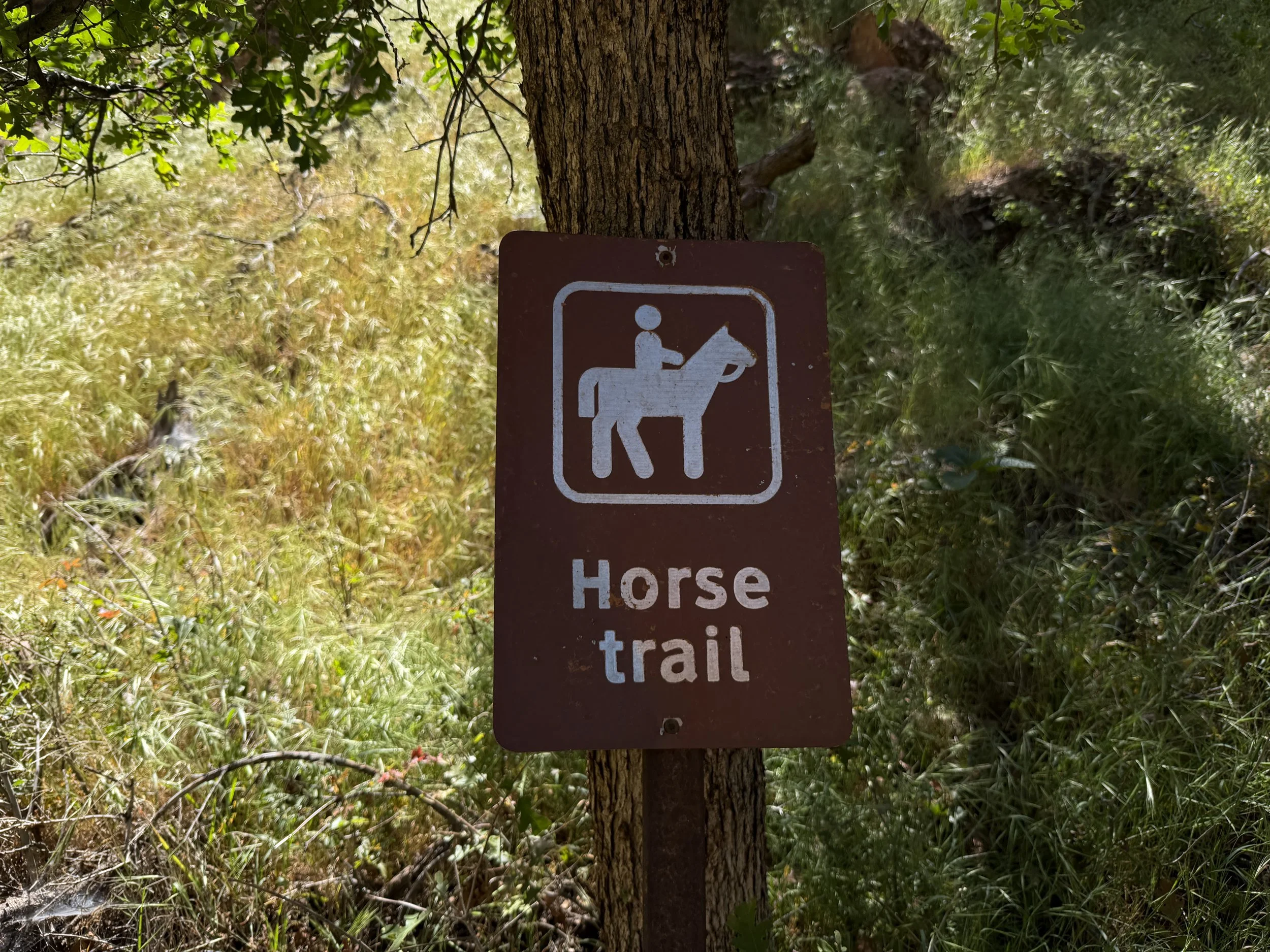 Sand Bench Trail via Zion Lodge Zion National Park Utah