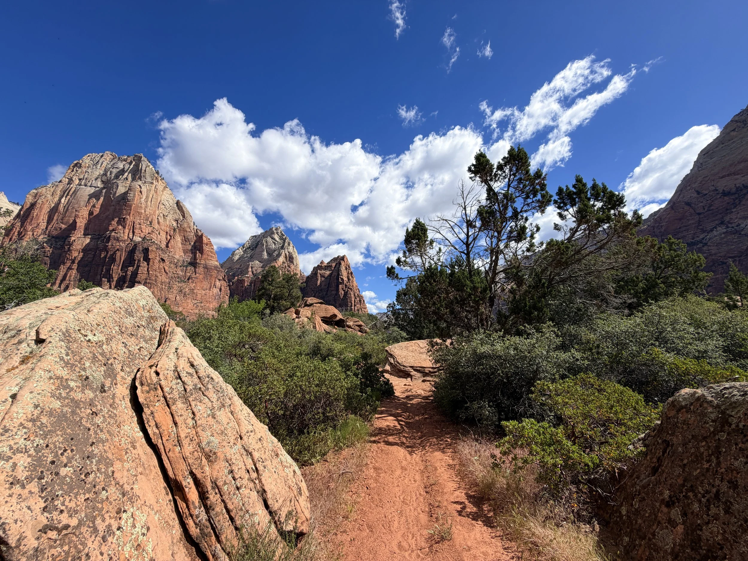 Sand Bench Loop Trail Zion National Park Utah