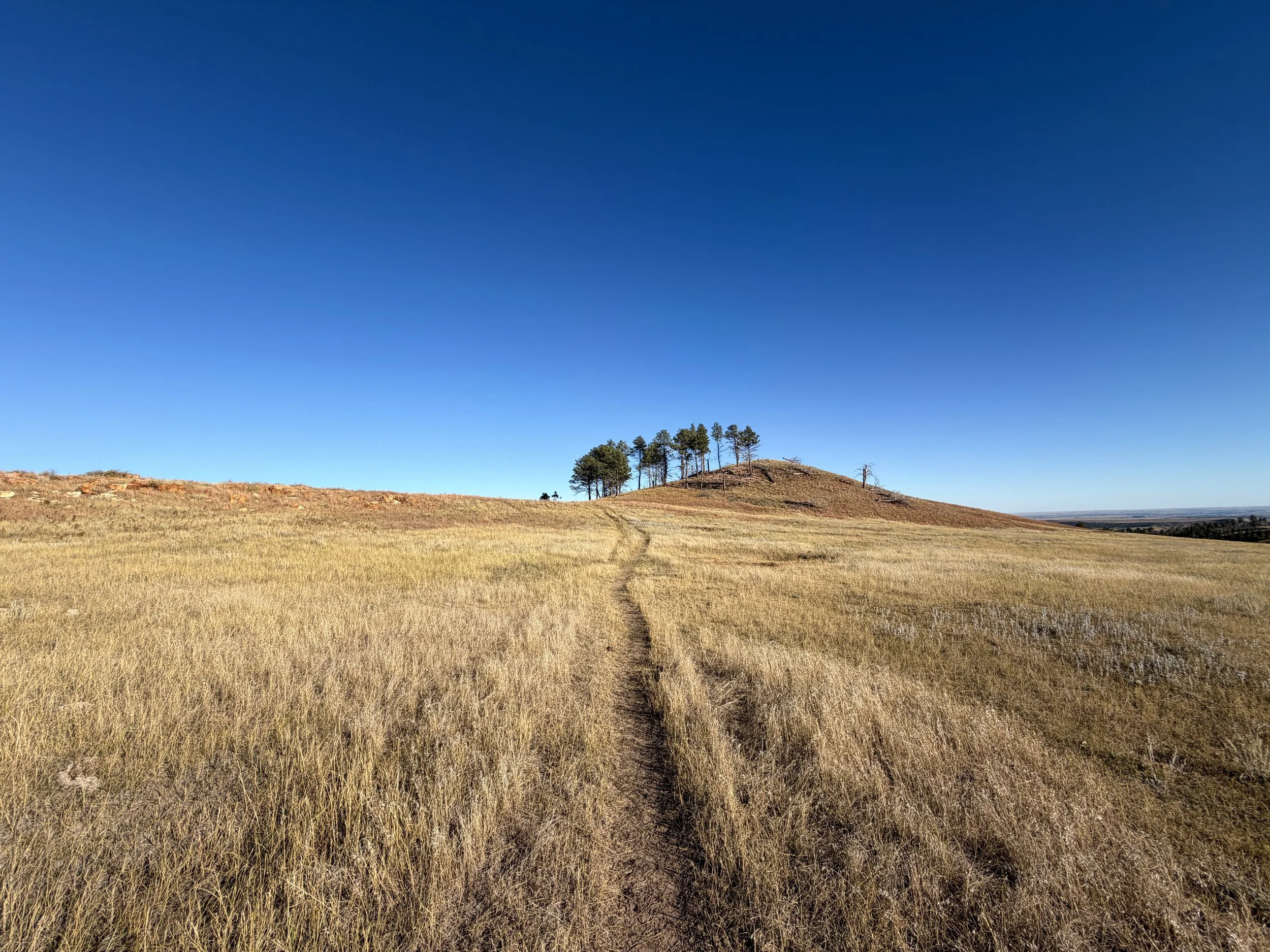 Boland Ridge Trail Wind Cave National Park South Dakota