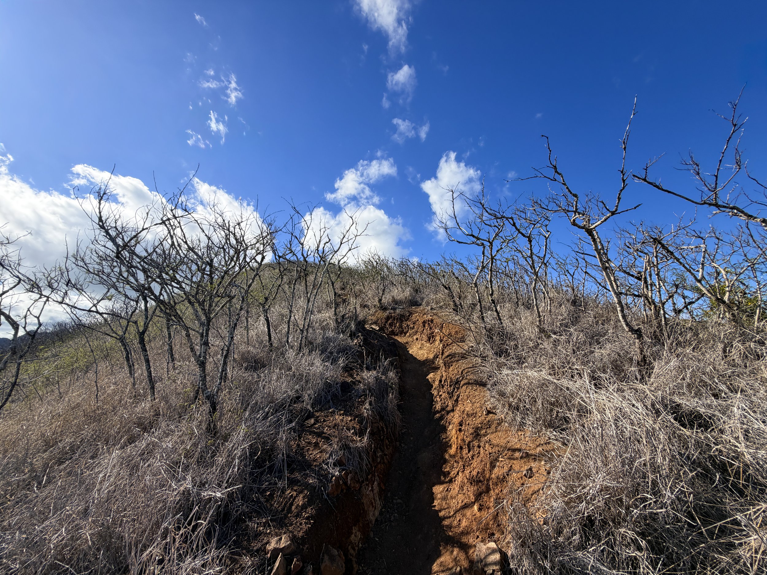 Back Way Kaiwa Ridge Trail Oahu Hawaii