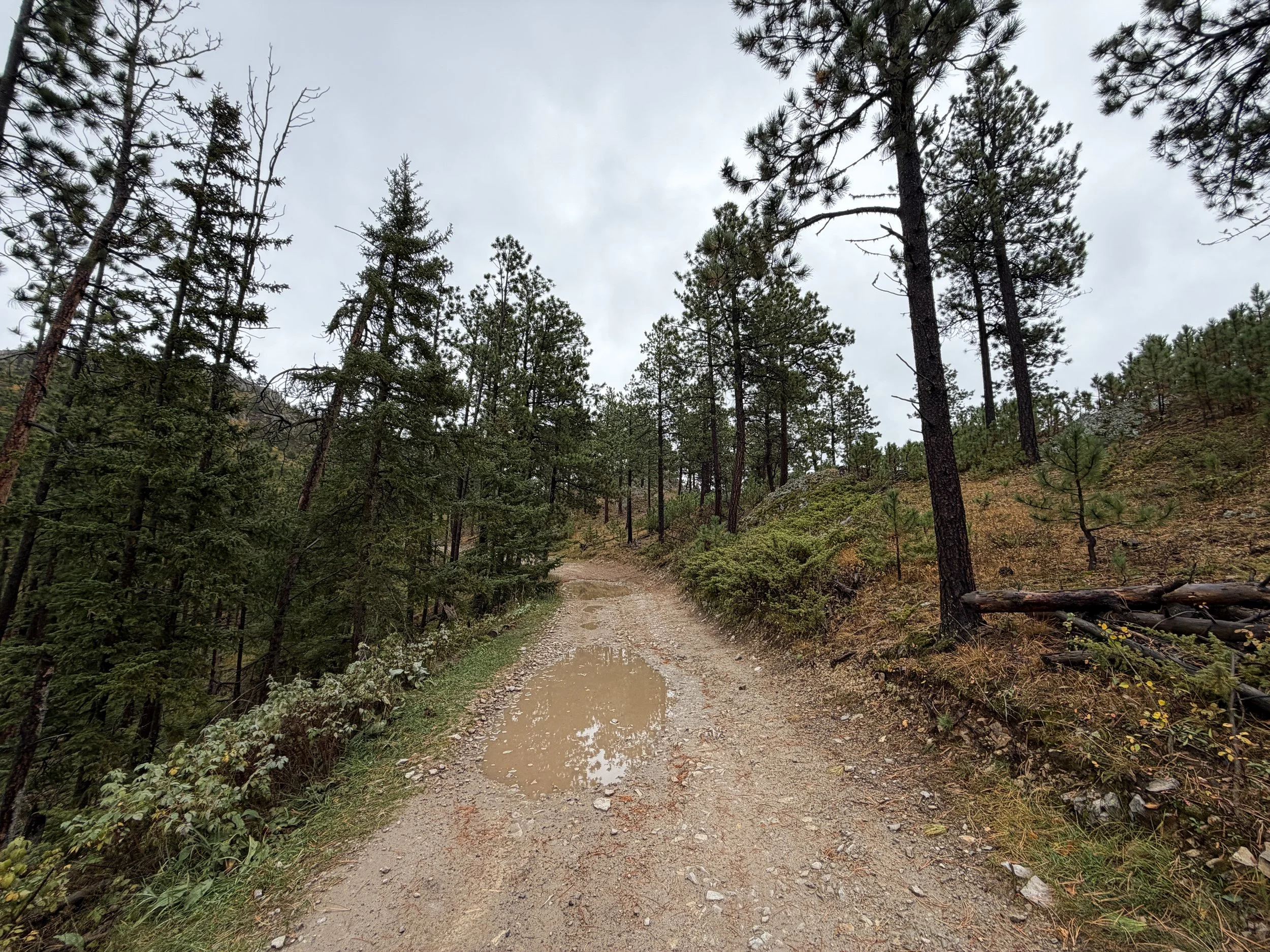 Custer Peak Fire Lookout Trail Black Hills South Dakota