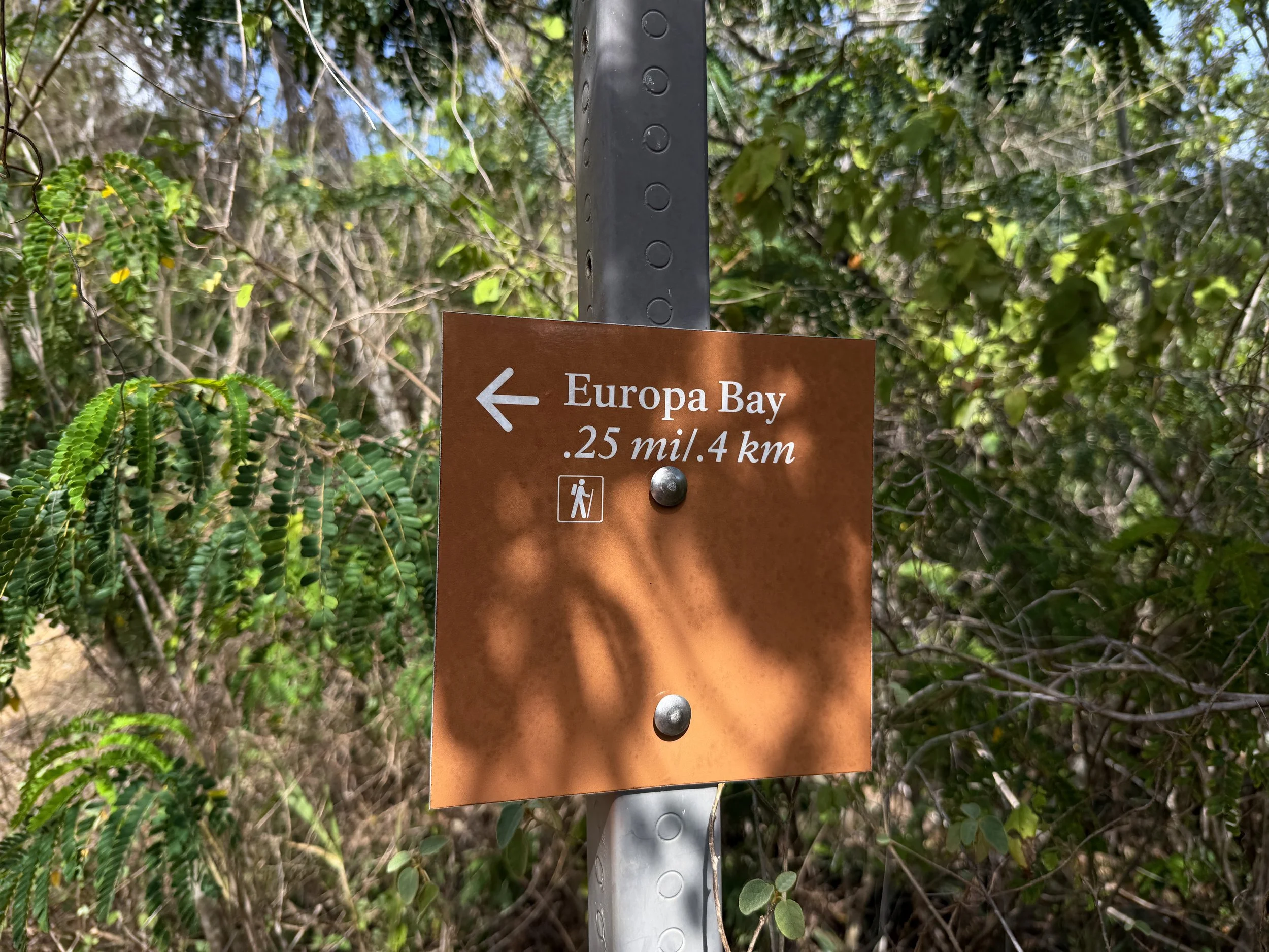 Lameshur Bay Trail to Europa Bay Virgin Islands National Park