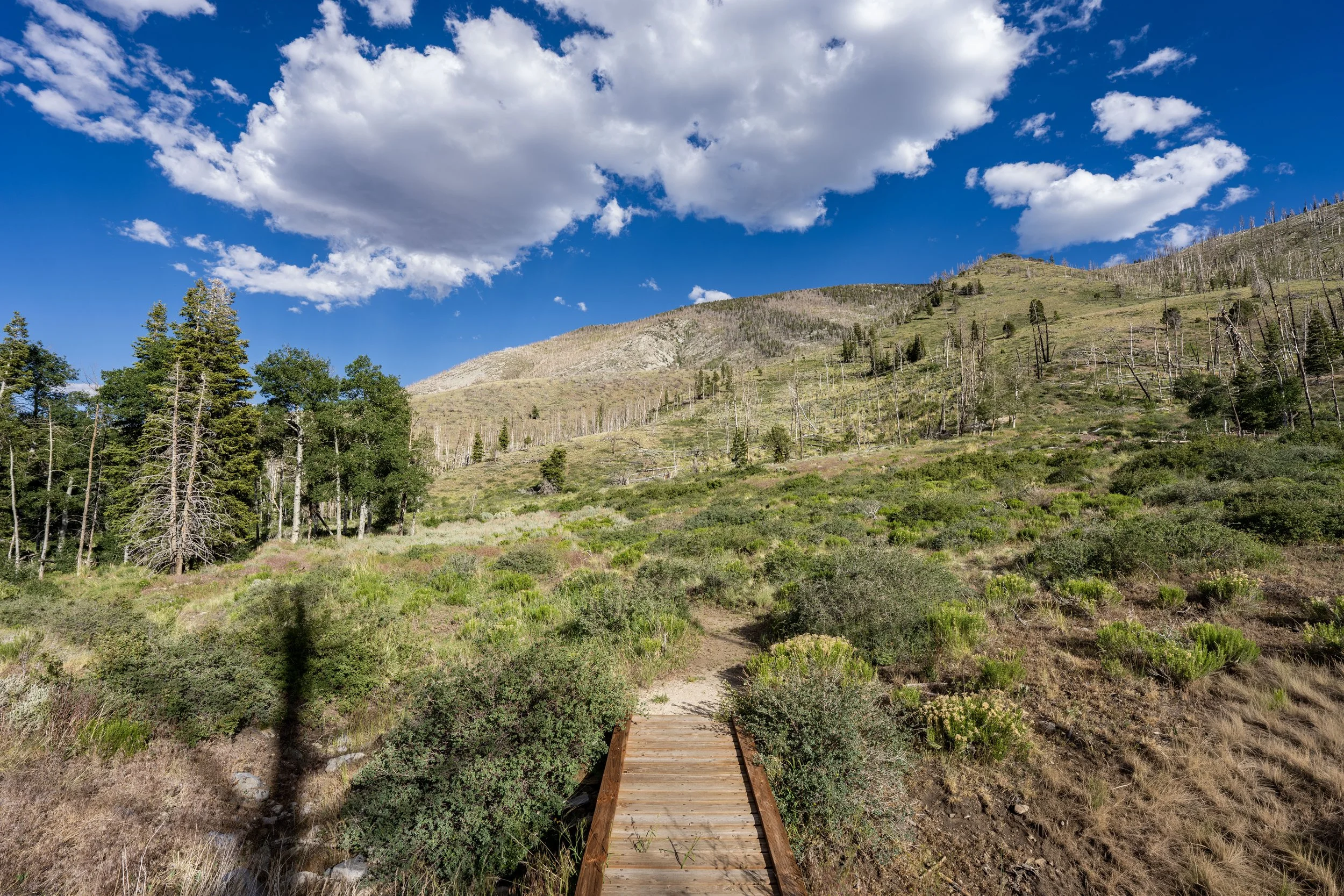 Sage Steppe Loop Trail Great Basin National Park Nevada