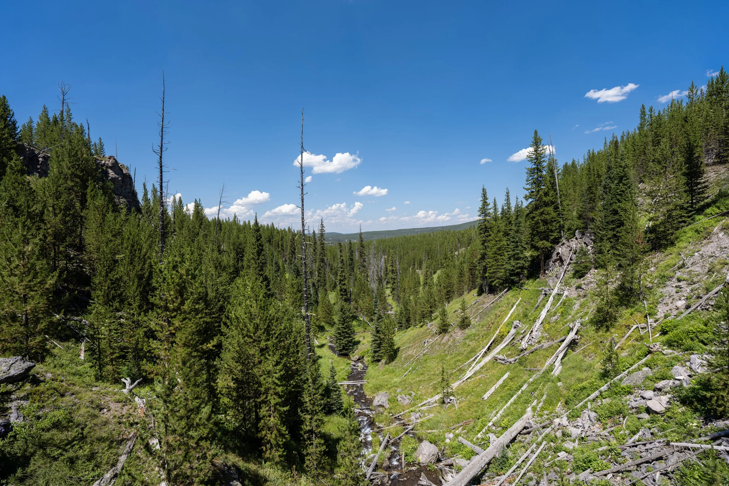 Fern Cascade Loop Trail Yellowstone National Park Wyoming
