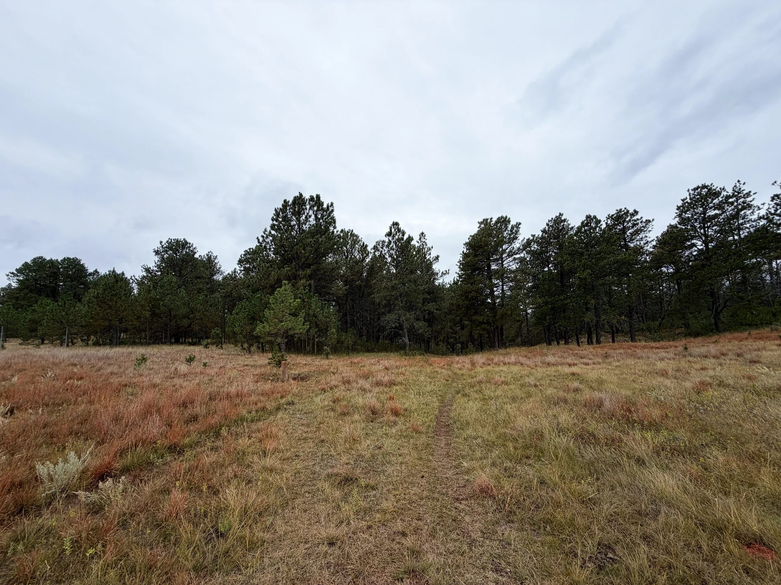 Highland Creek Hike Wind Cave National Park South Dakota