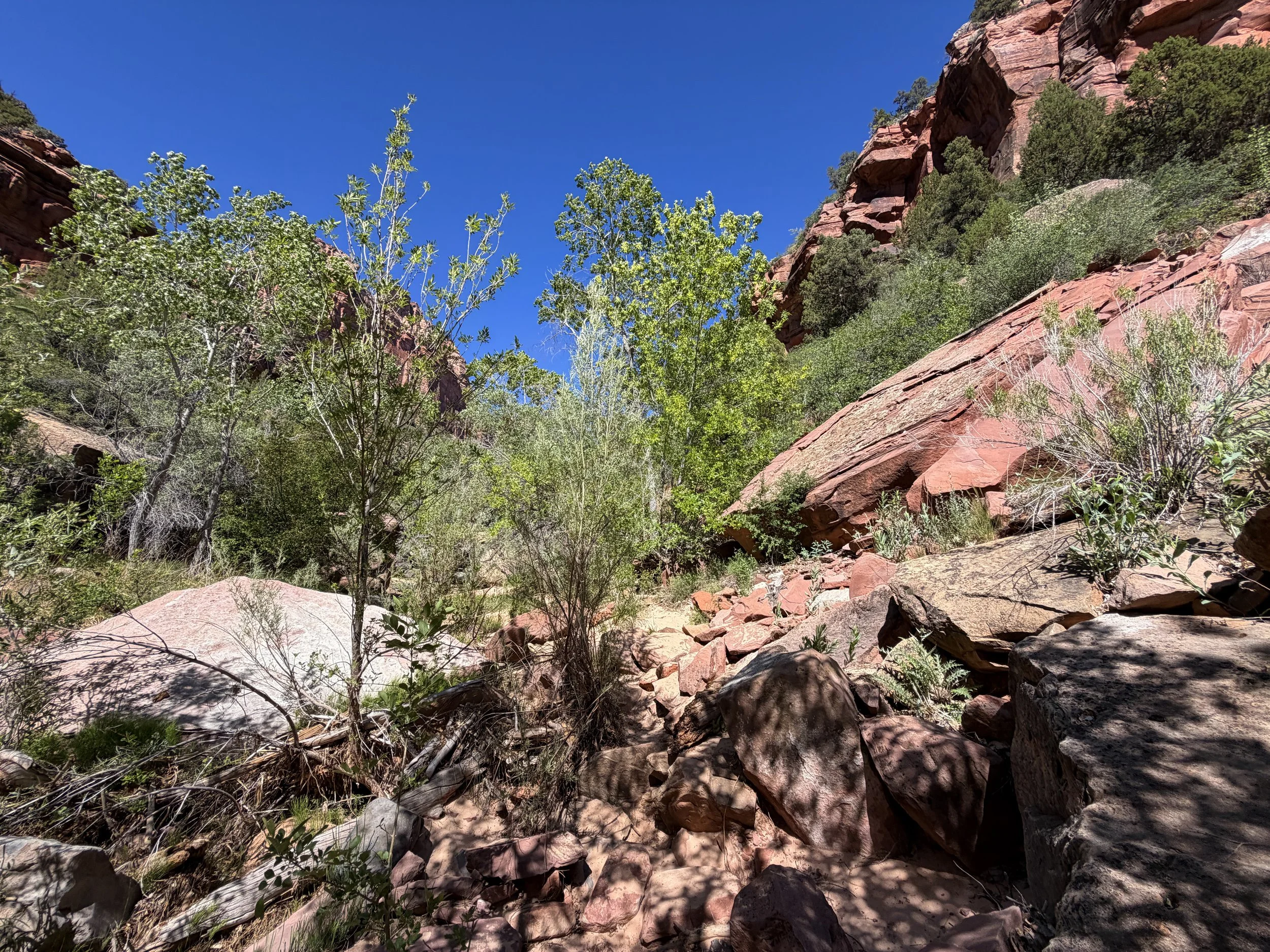 Subway Trail via Left Fork Trailhead Zion National Park Utah