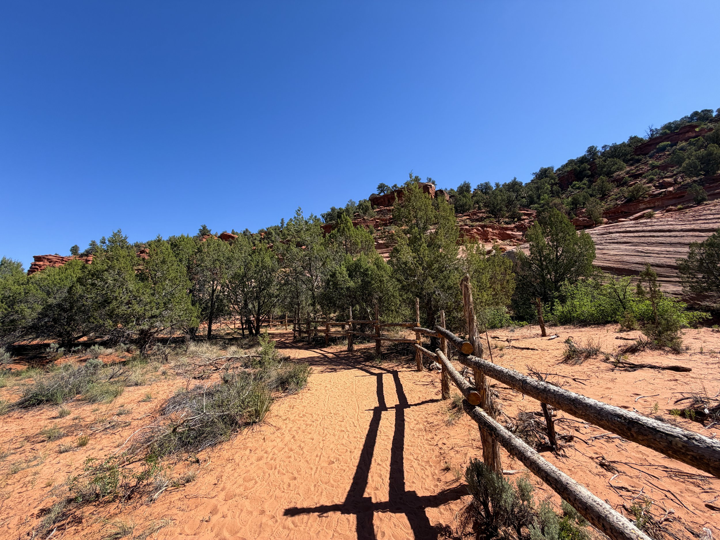 Sand Caves Trail Kanab Utah