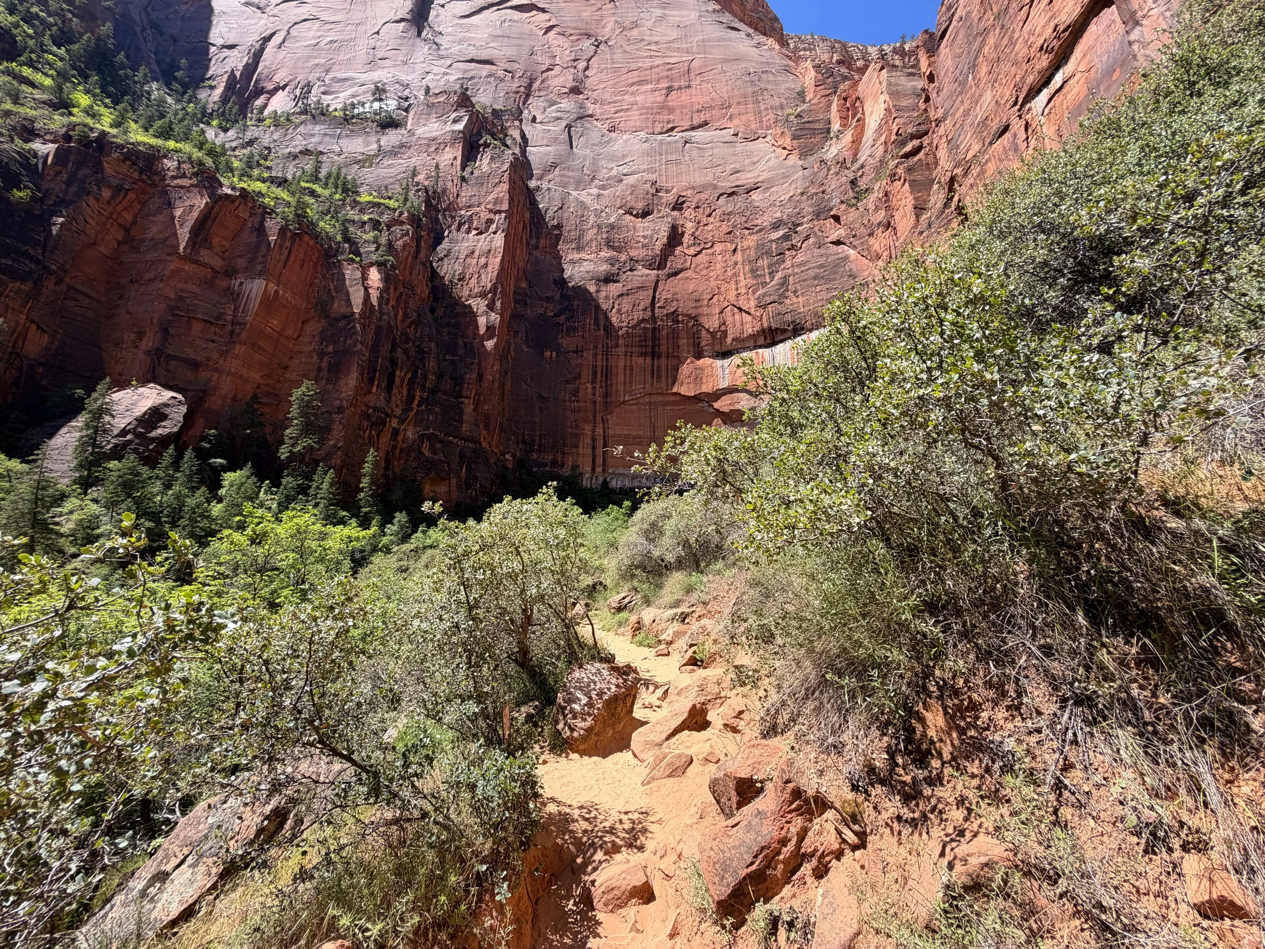 Upper Emerald Pool Trail Zion National Park Utah
