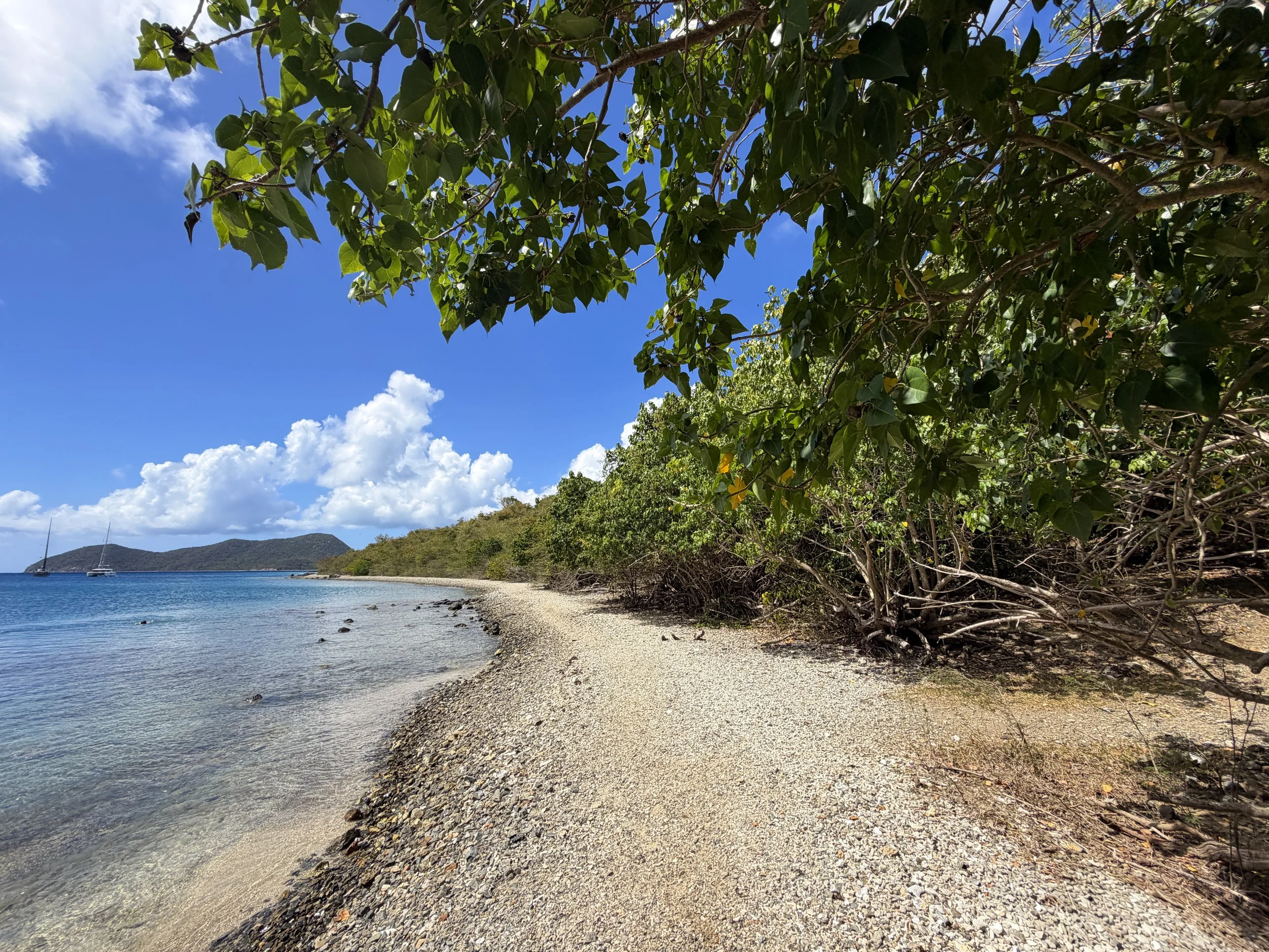 Leinster Bay Hike Virgin Islands National Park