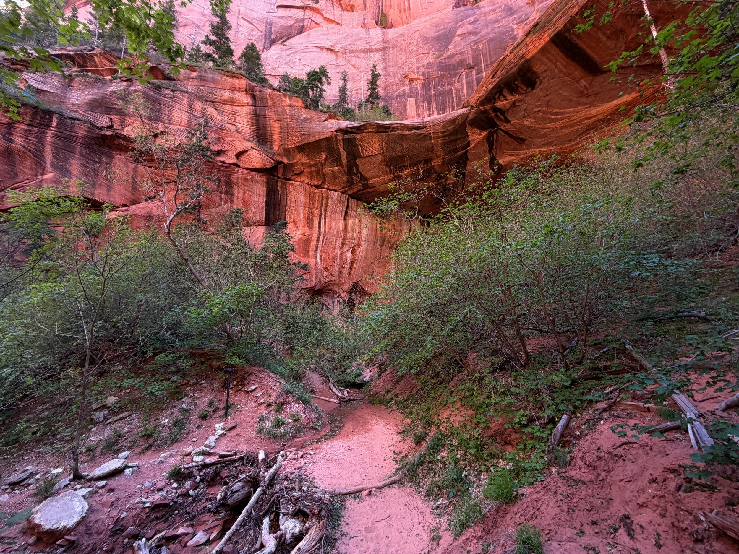 Double Arch Alcove Taylor Creek Trail Zion National Park Utah