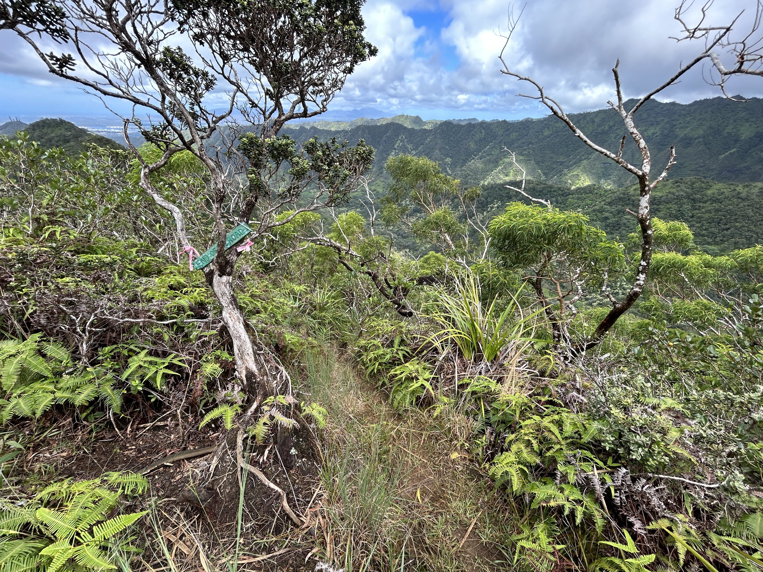 Hiking the Tripler Ridge Trail via Moanalua Valley on Oʻahu — noahawaii