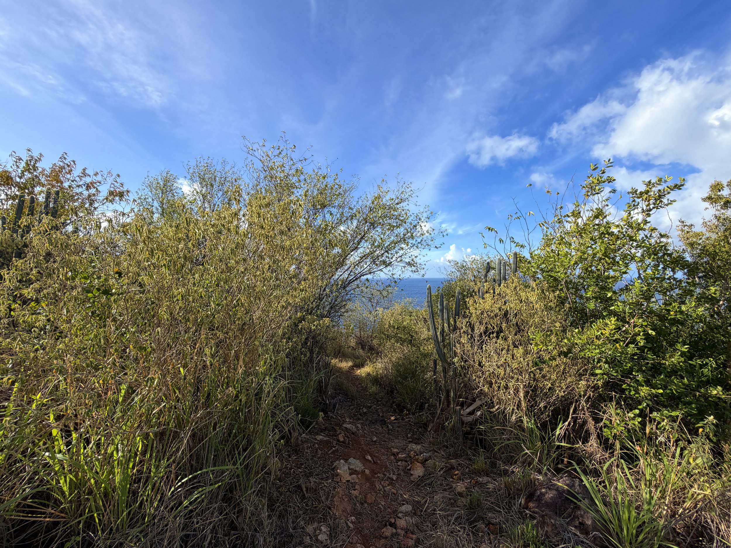 Cabritte Horn Trail Virgin Islands National Park