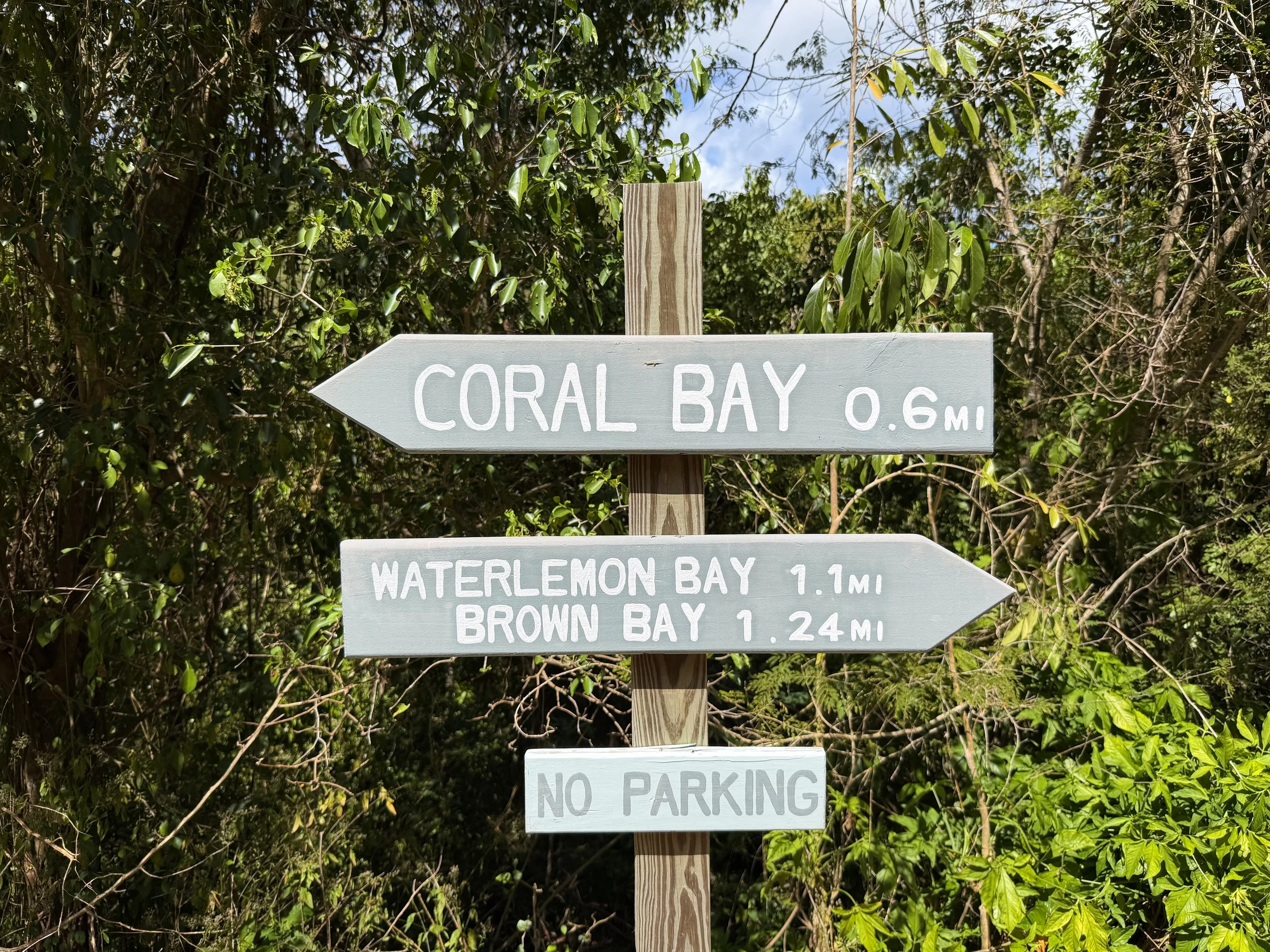 Johnny Horn Trailhead Virgin Islands National Park