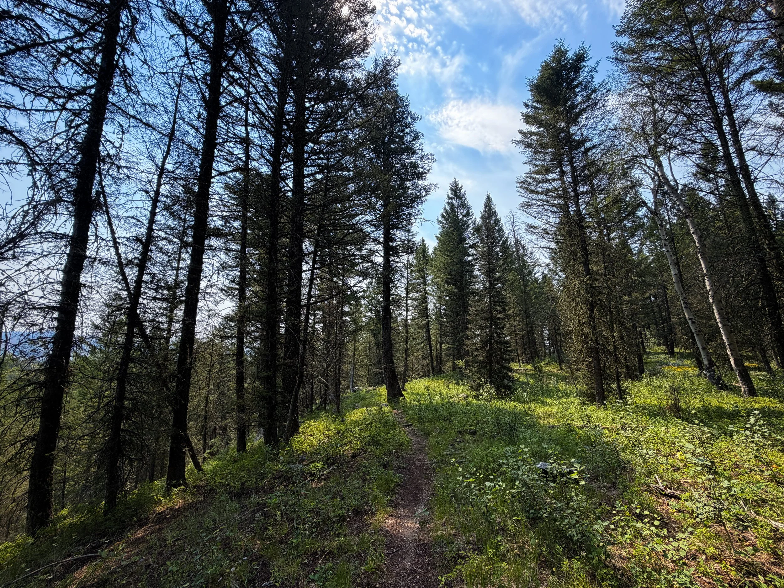 Boulder Ridge Trail Grand Teton National Park Wyoming