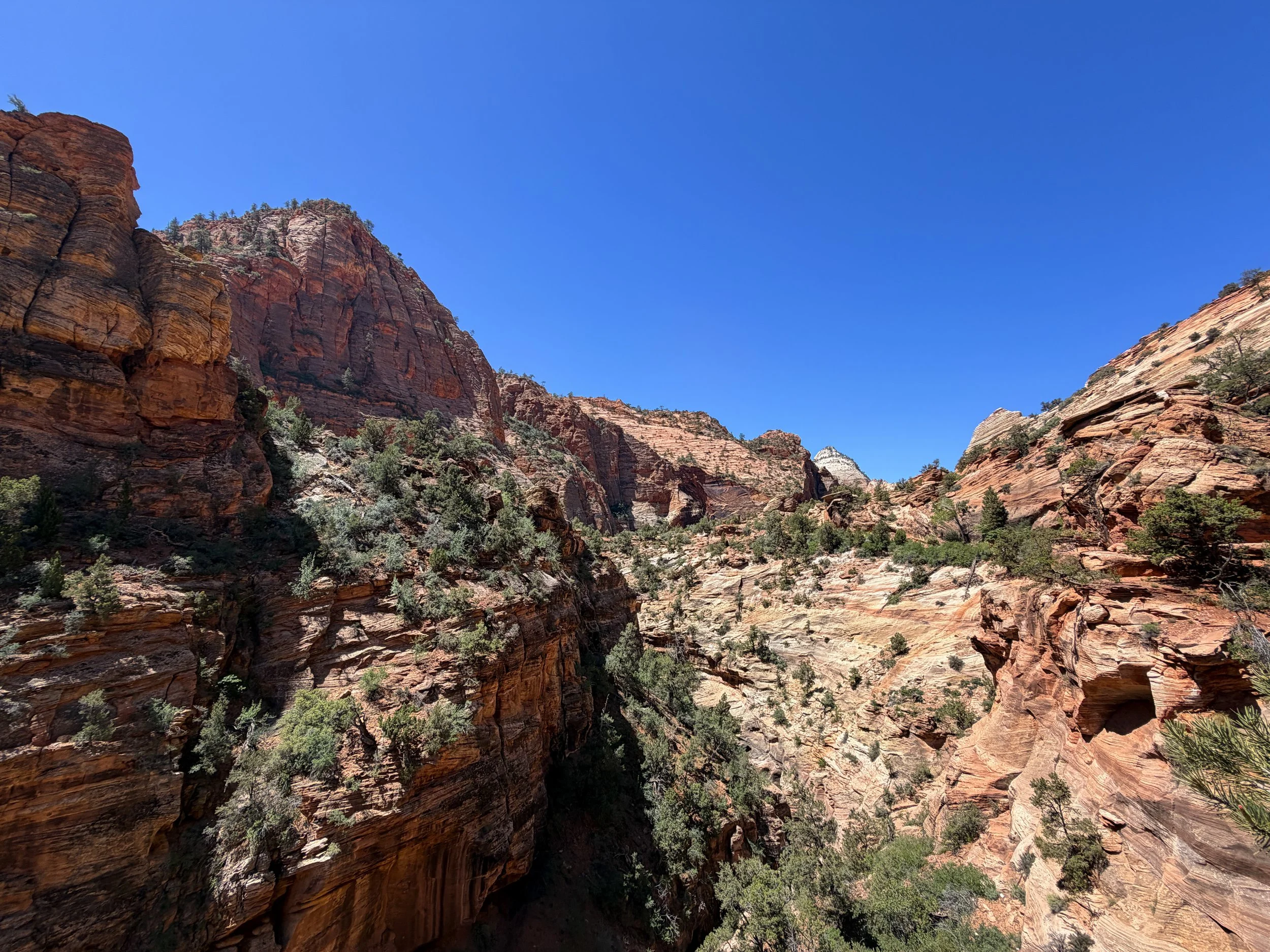 Canyon Overlook Trail Zion National Park Utah